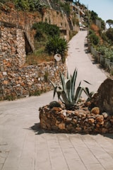 A winding stone walkway bordered by soft lighting and seasonal flowers.