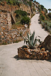 A charming stone walkway winding through a vibrant garden connecting different outdoor areas.