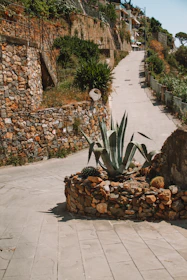 A stone pathway winding through a well-manicured garden with shrubs and lighting.