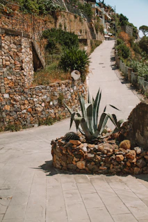 A winding stone pathway bordered by lush greenery and soft lighting in an outdoor living space