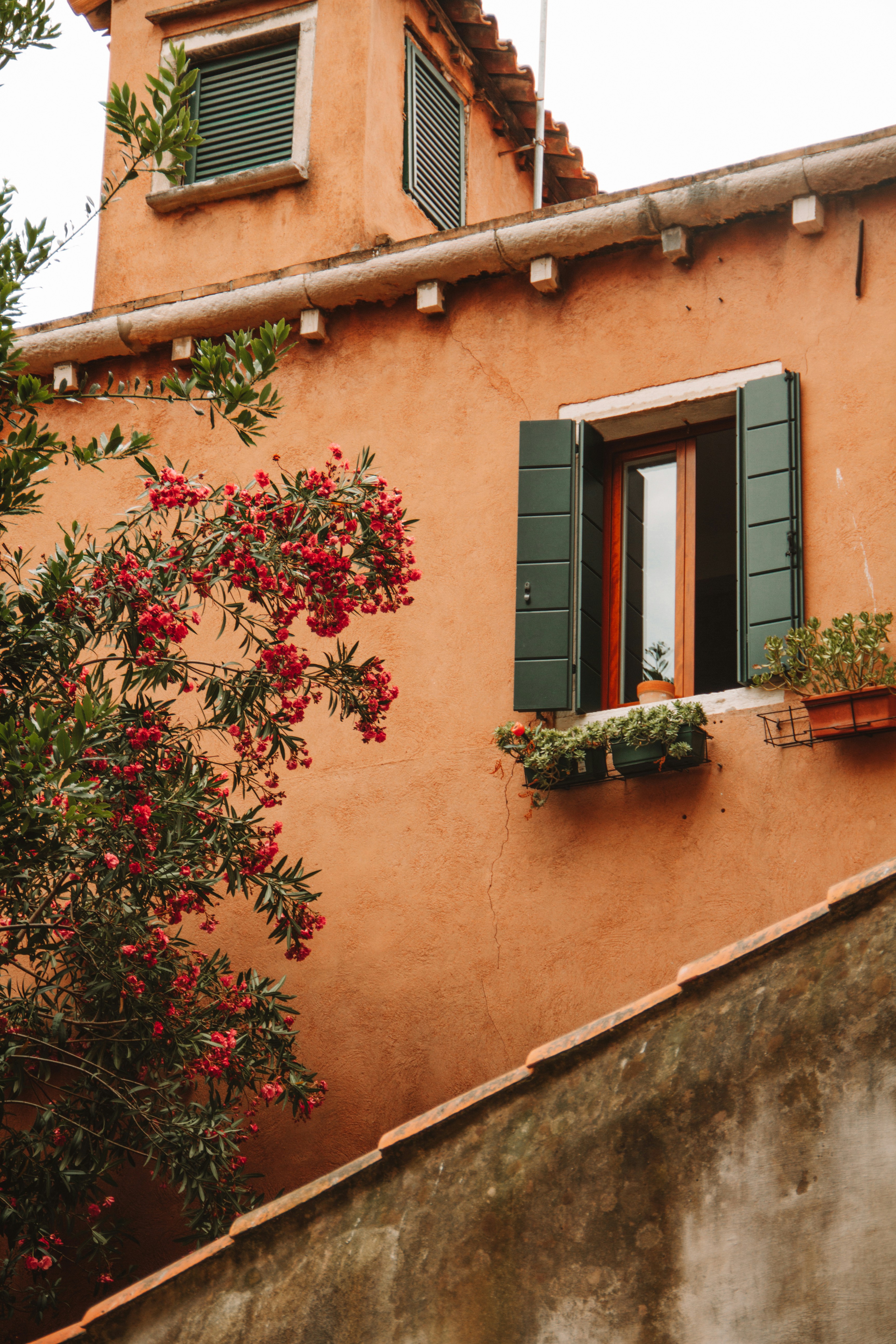 Photo by ingridmartinussen