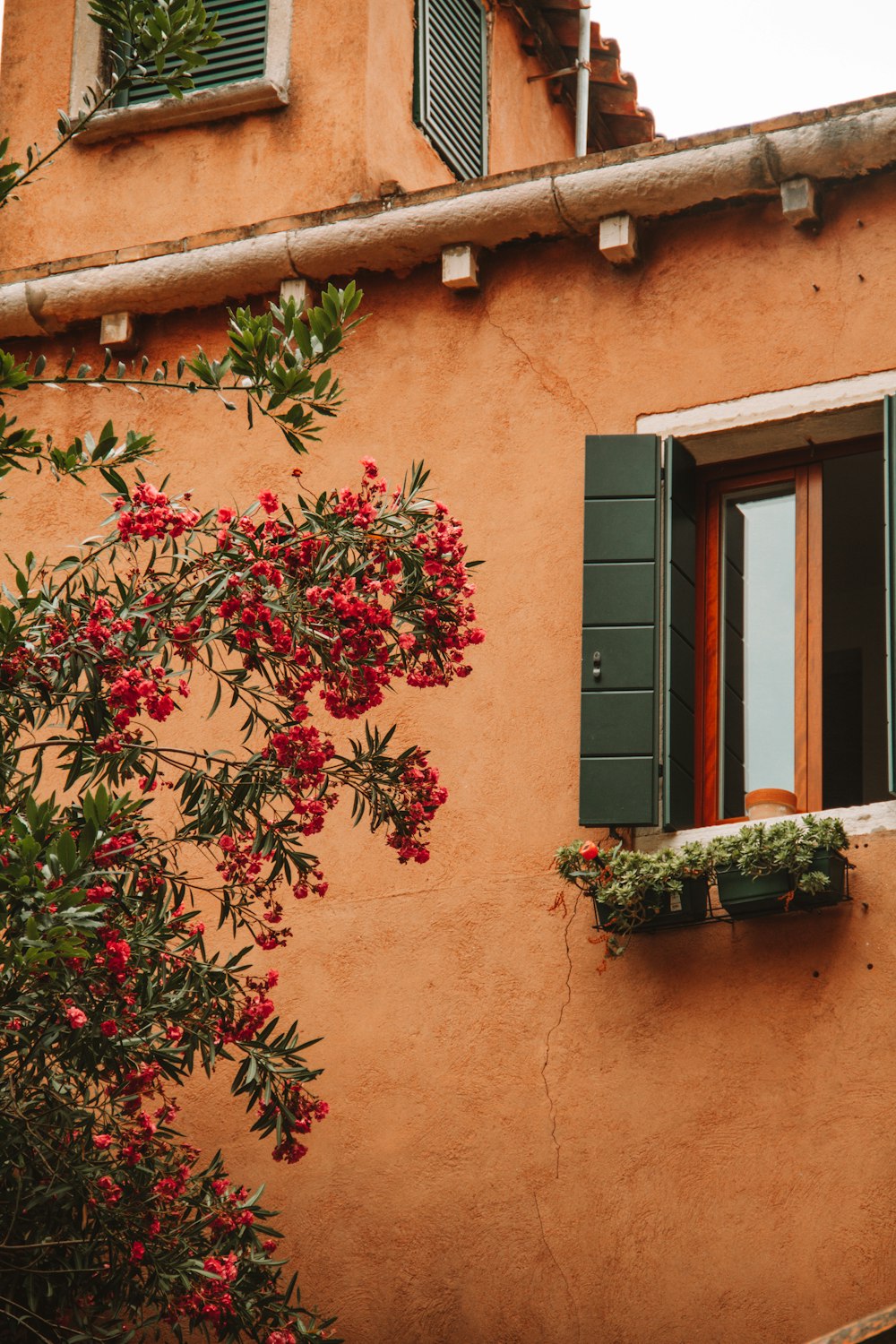 a red building with a window and green shutters