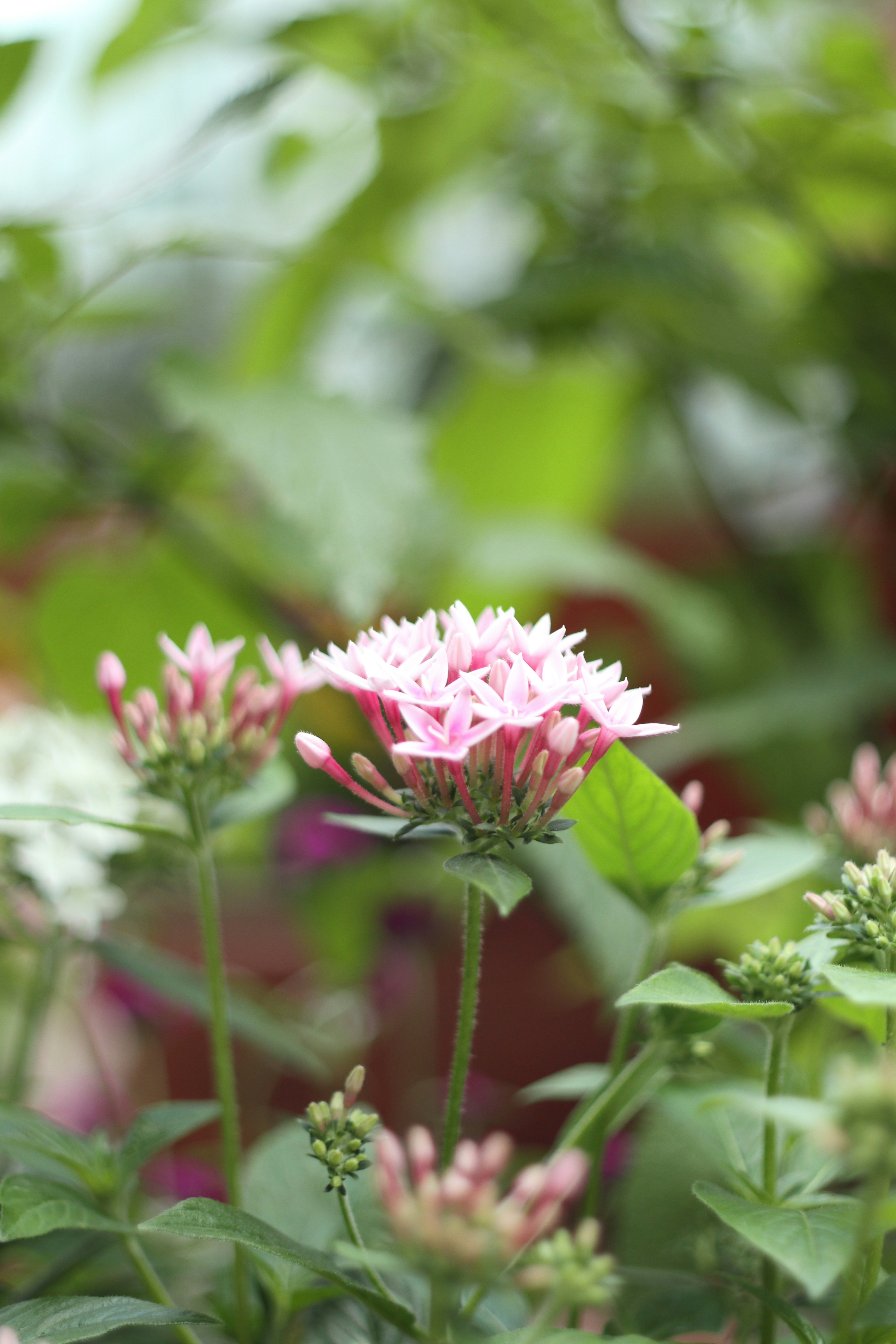 Photo by takatsuchida