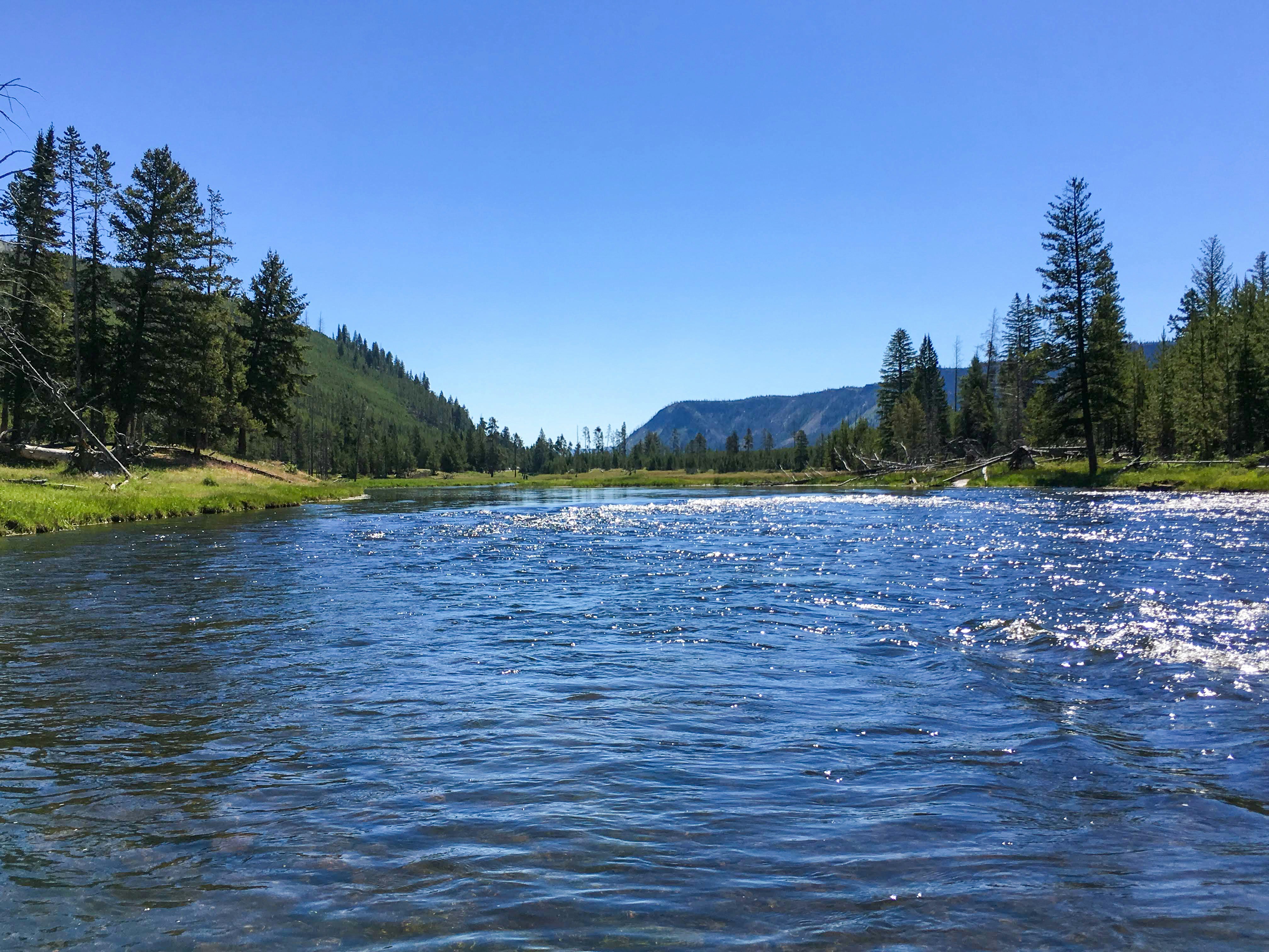 Gallatin River