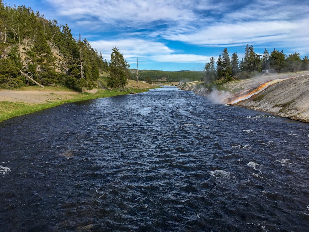 a river running through a lush green forest