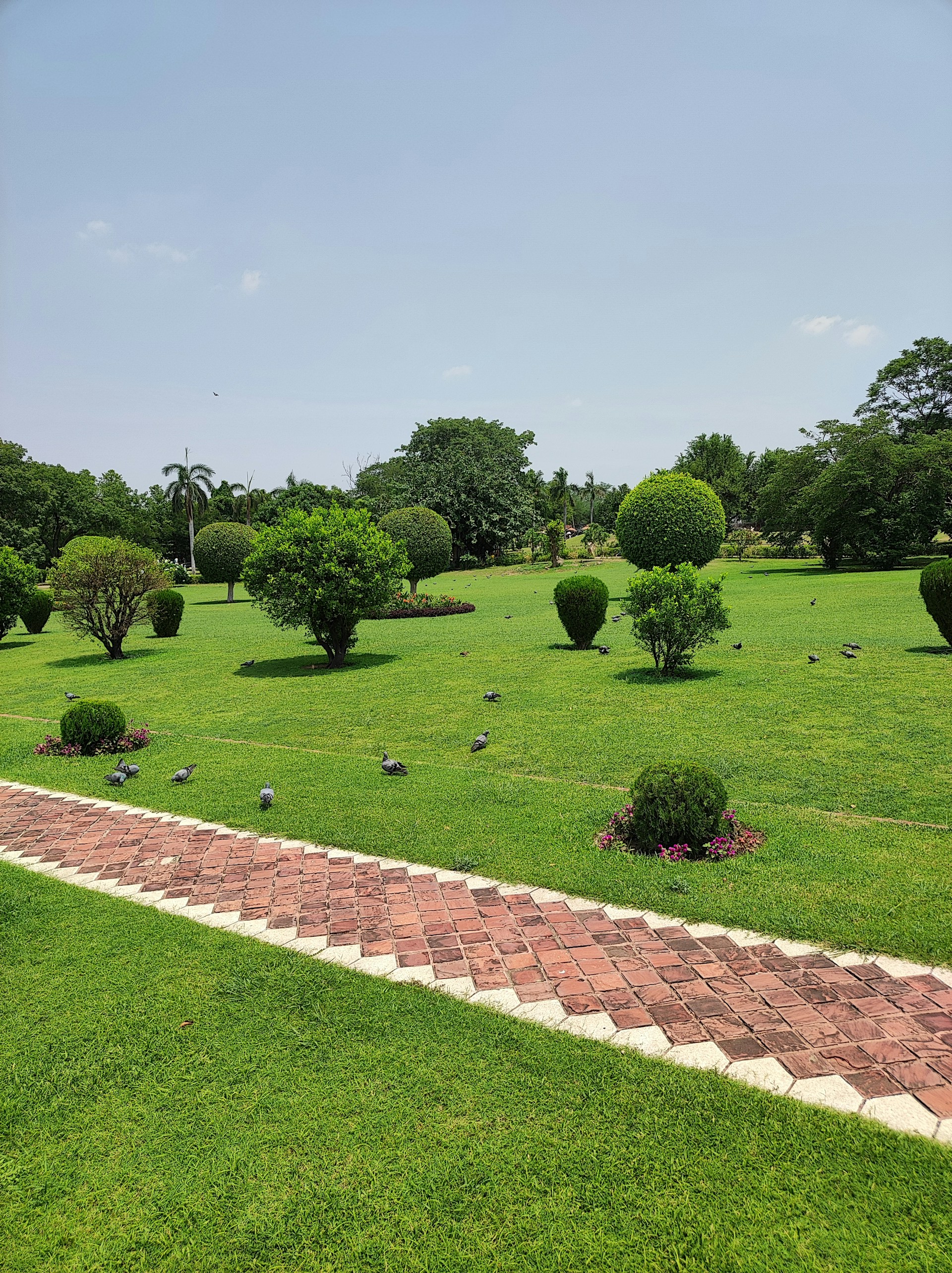 a grassy field with a brick path in the middle of it