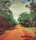 a dirt road surrounded by trees and grass