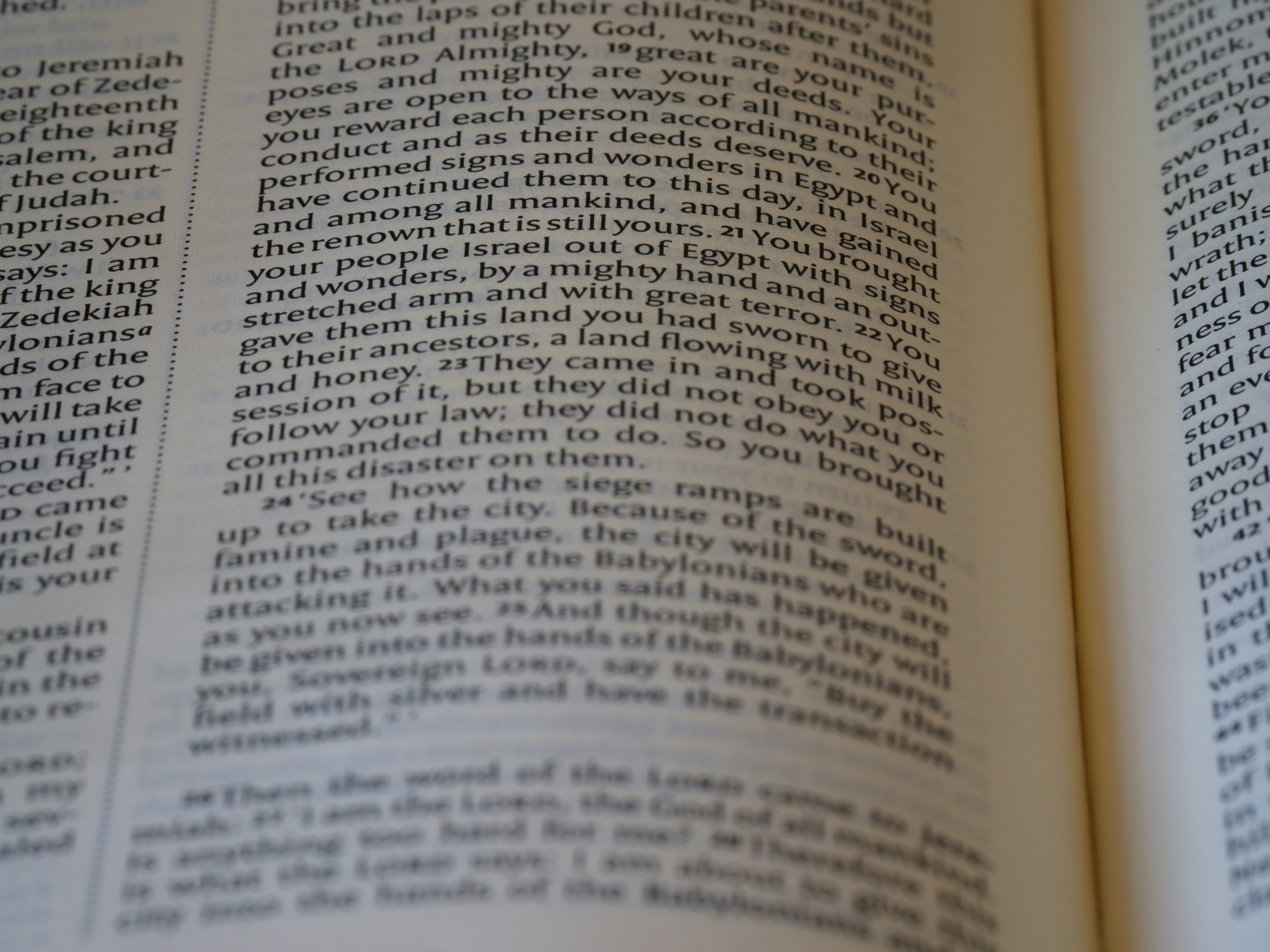 Photo by brett_jordan