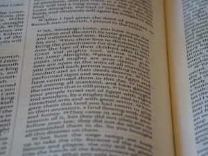 English Guide