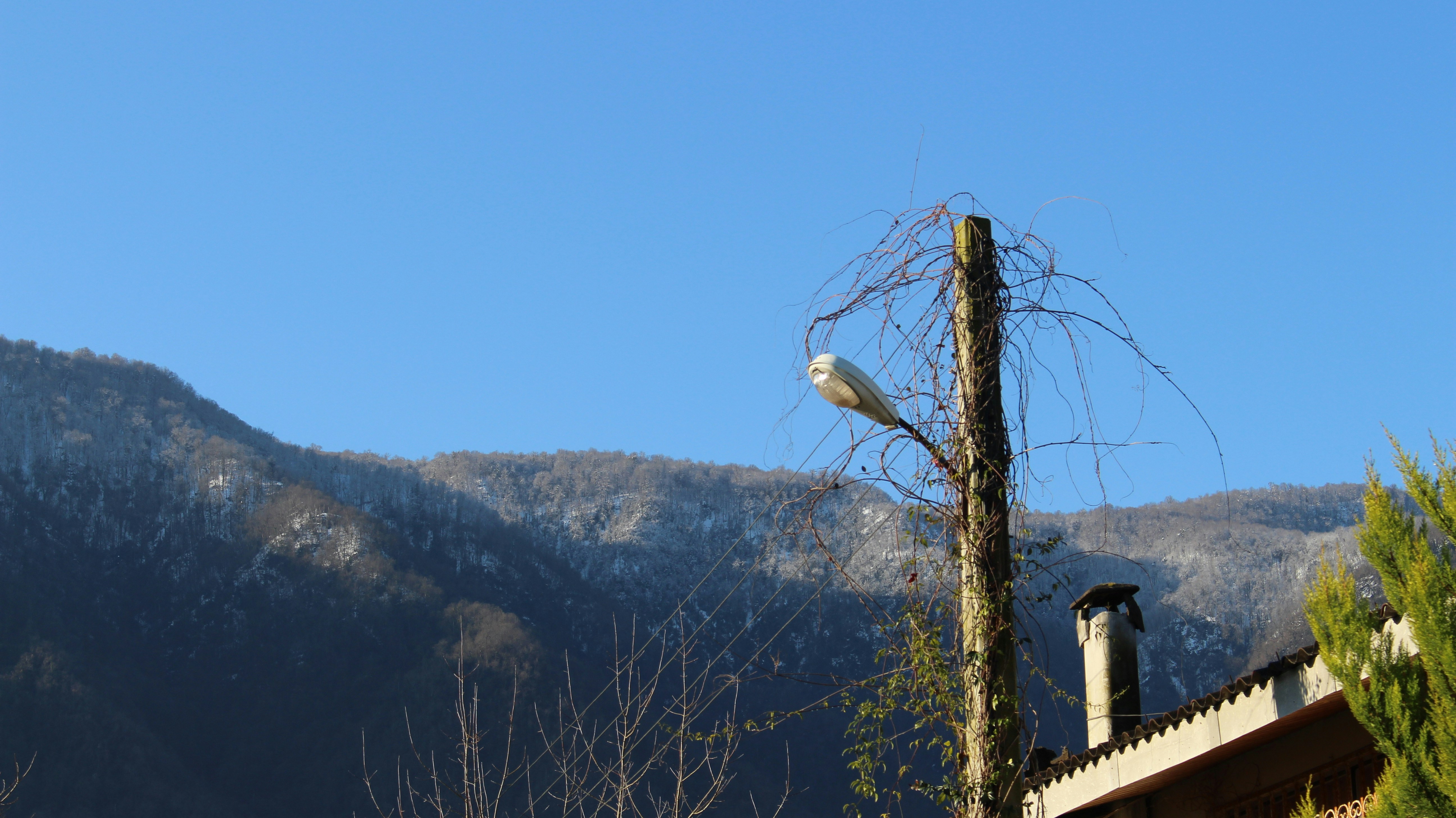 Chambéry Handball : l'indétrônable pilier de la StarLigue
