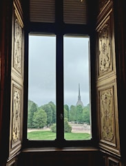 Window view showing nearby green park area.