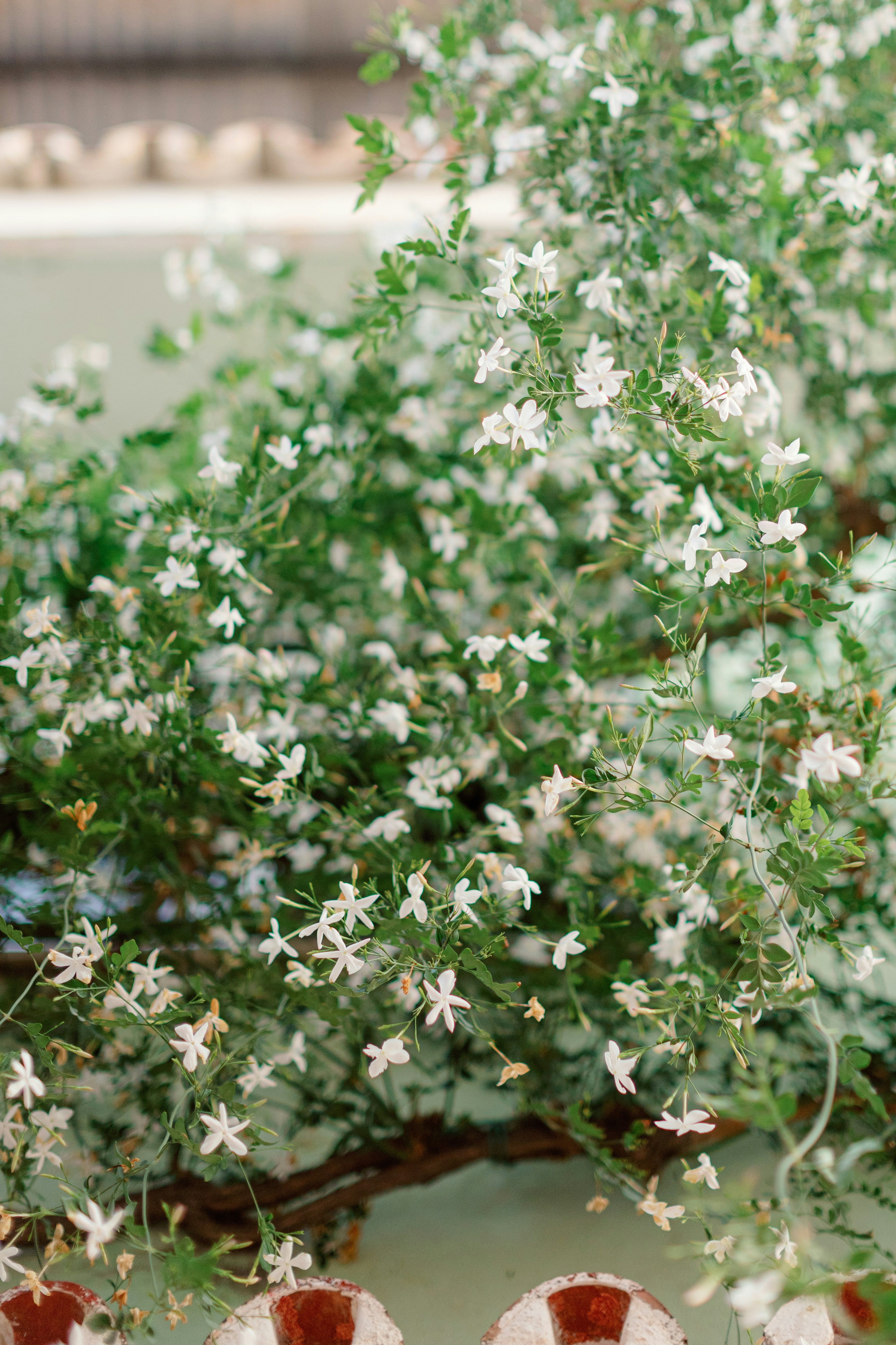 Photo by juliamatuzova