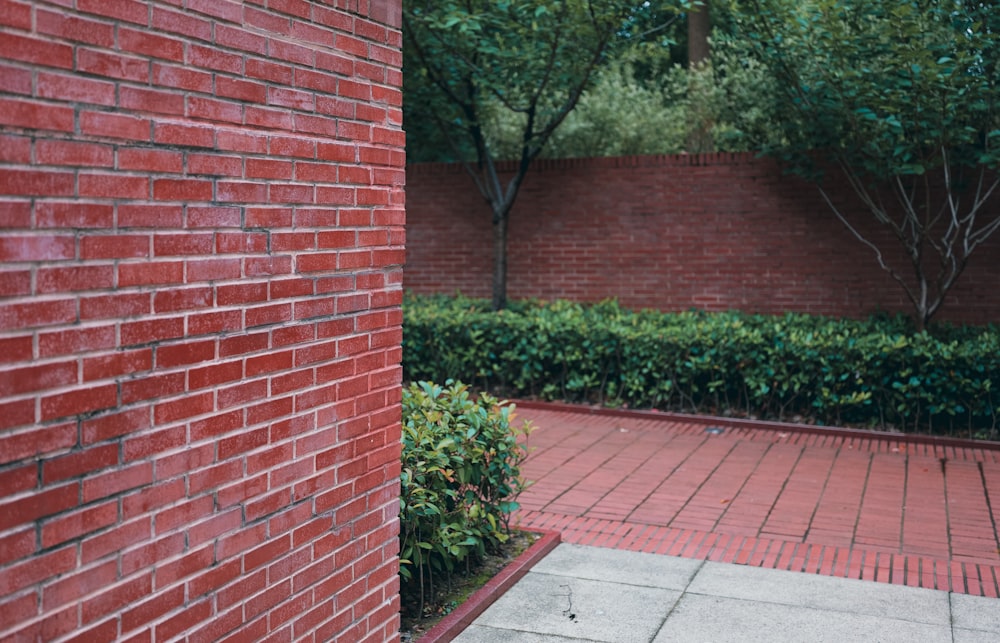 a red brick wall with a green hedge next to it