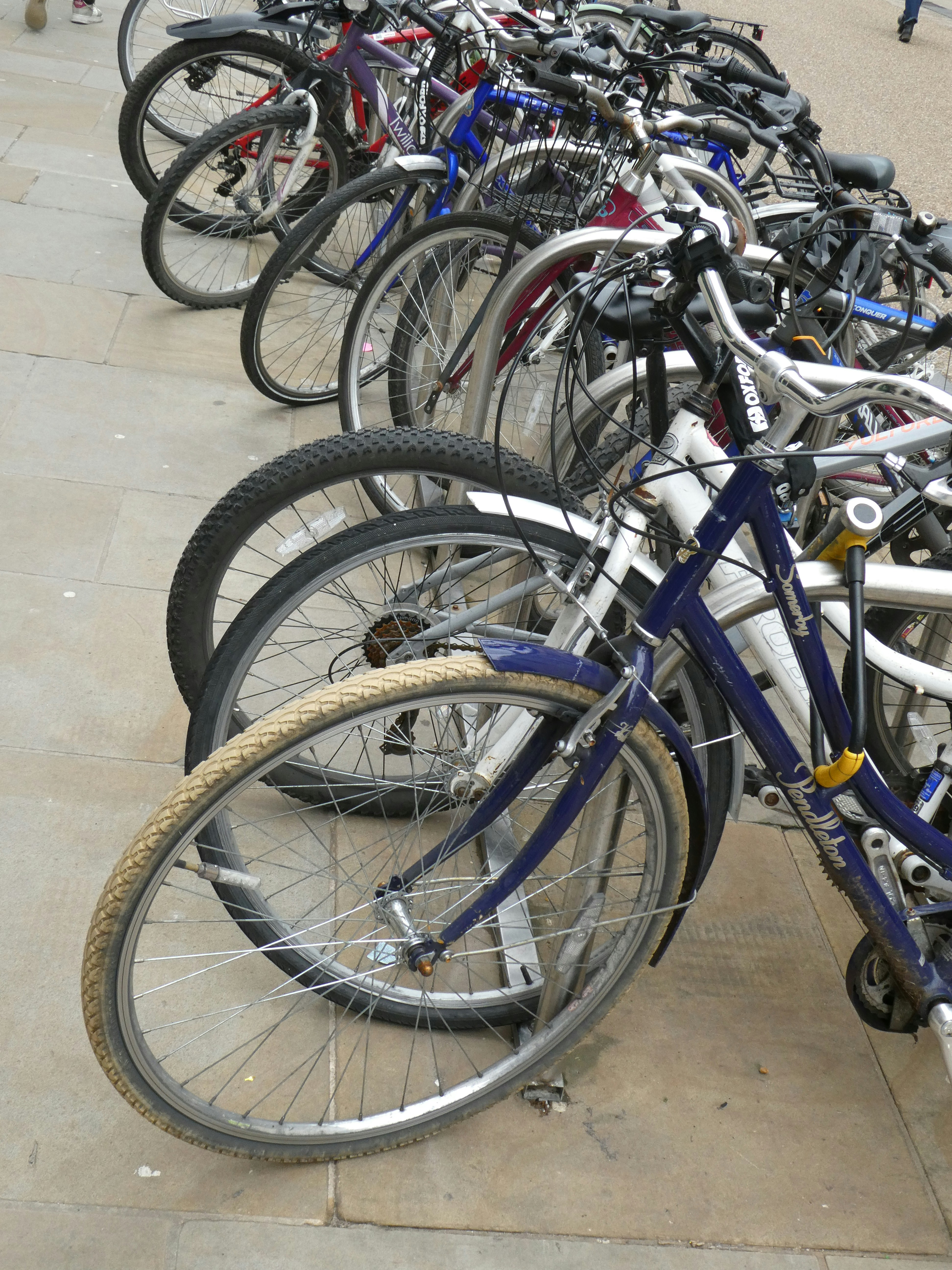 A bunch of bikes are lined up on the sidewalk photo Free Bicycles