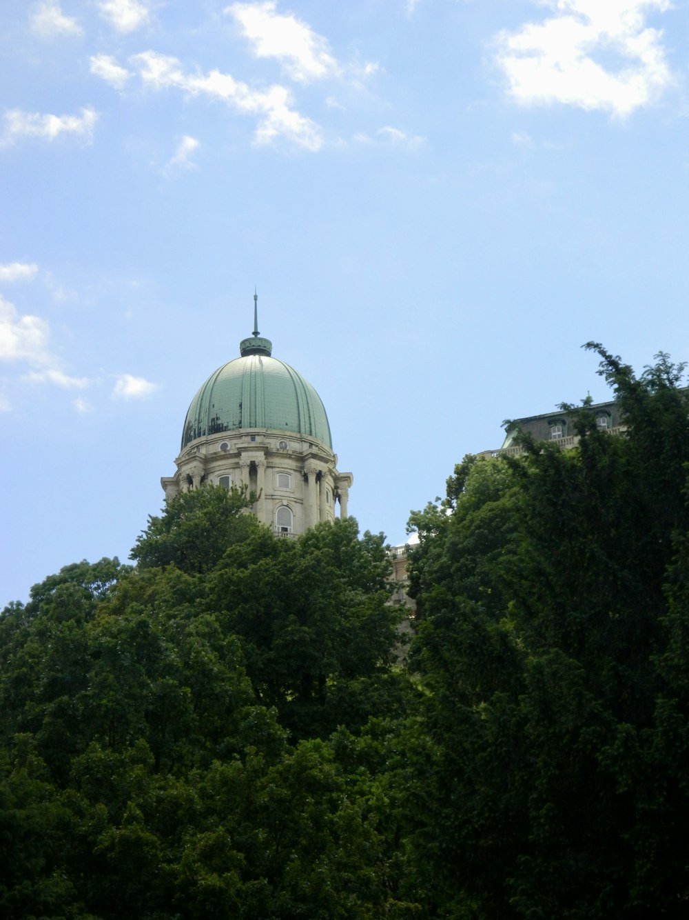 a dome on top of a building surrounded by trees