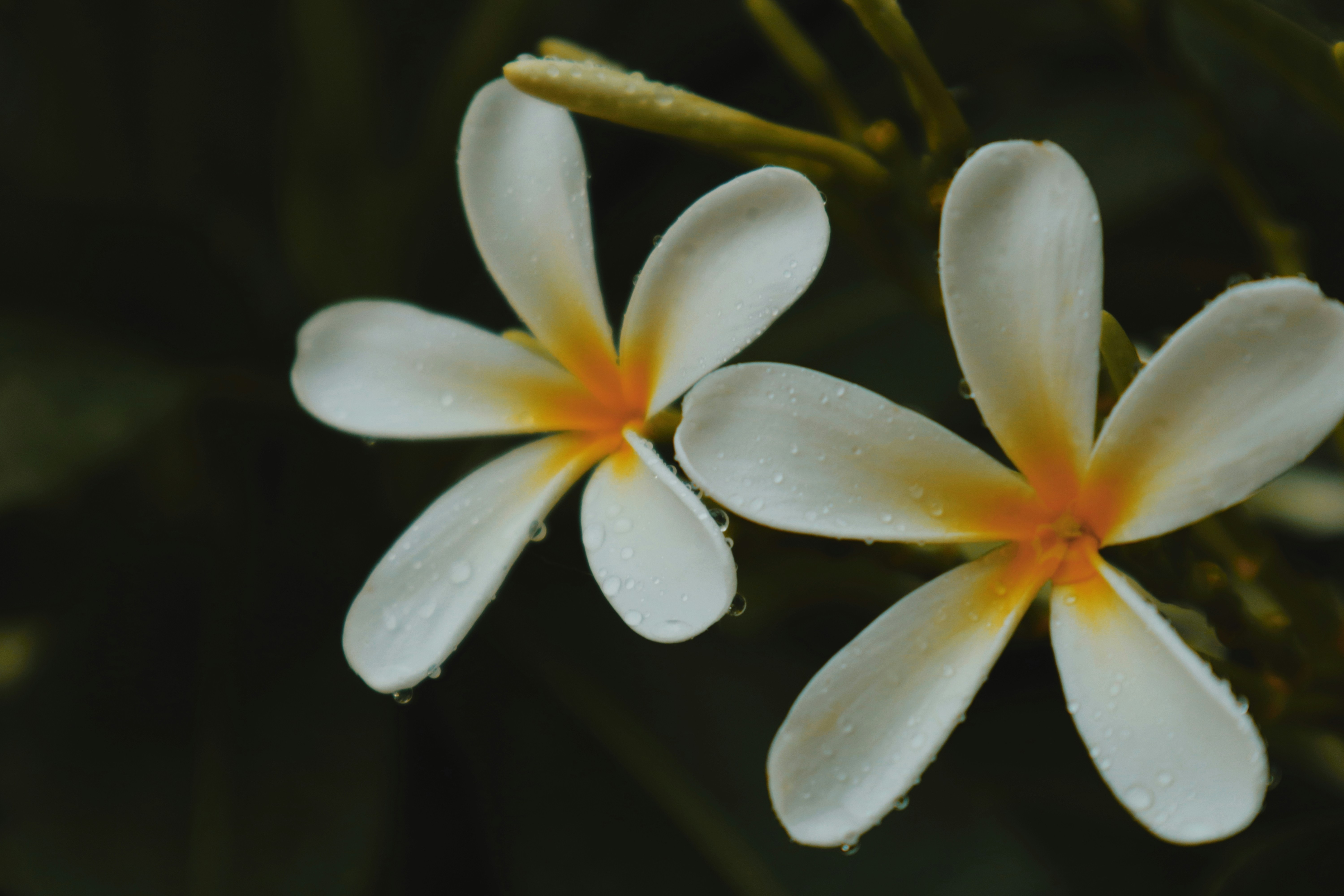 Photo by sincegameon