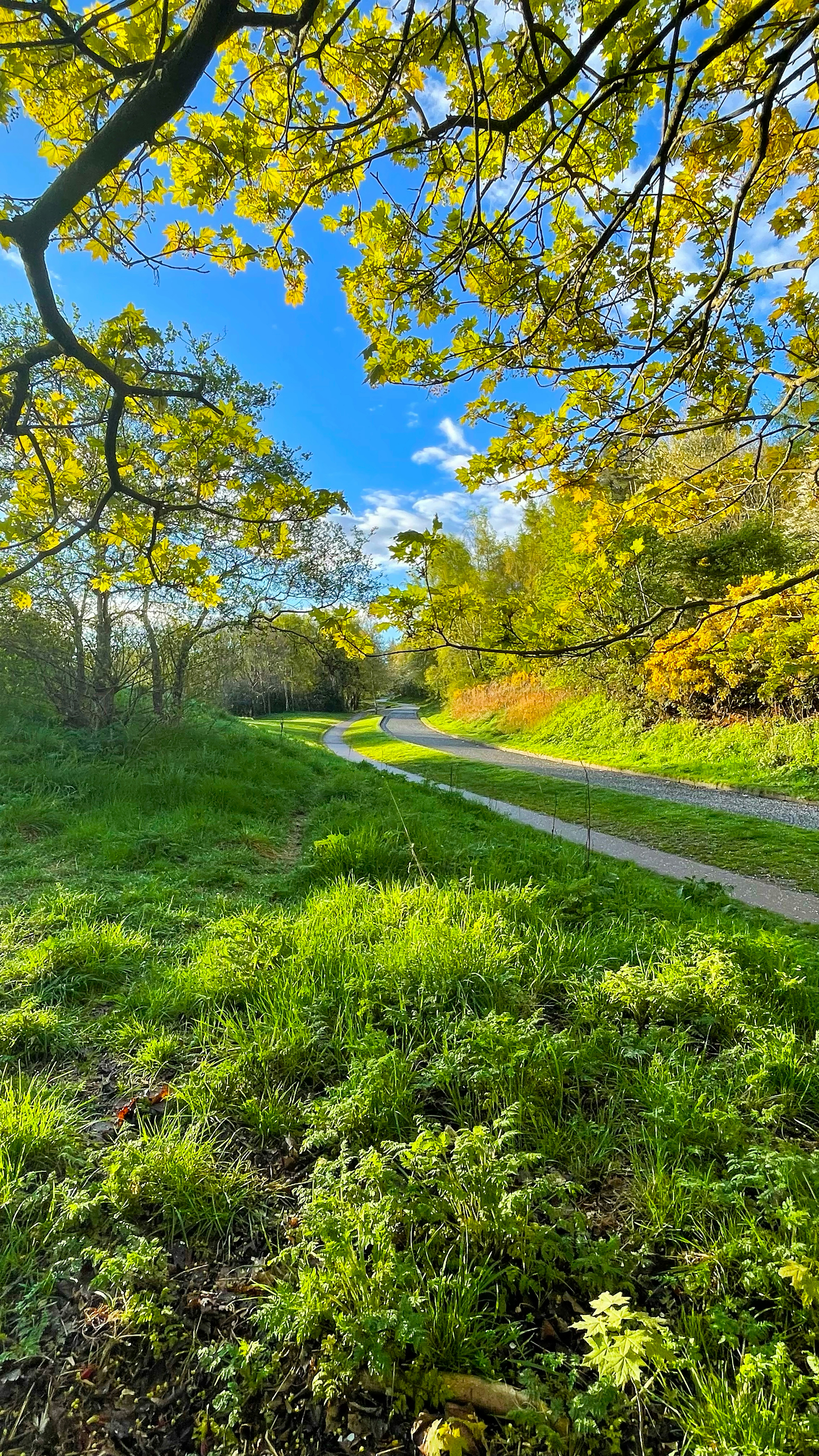 Photo by digitalgeek_01