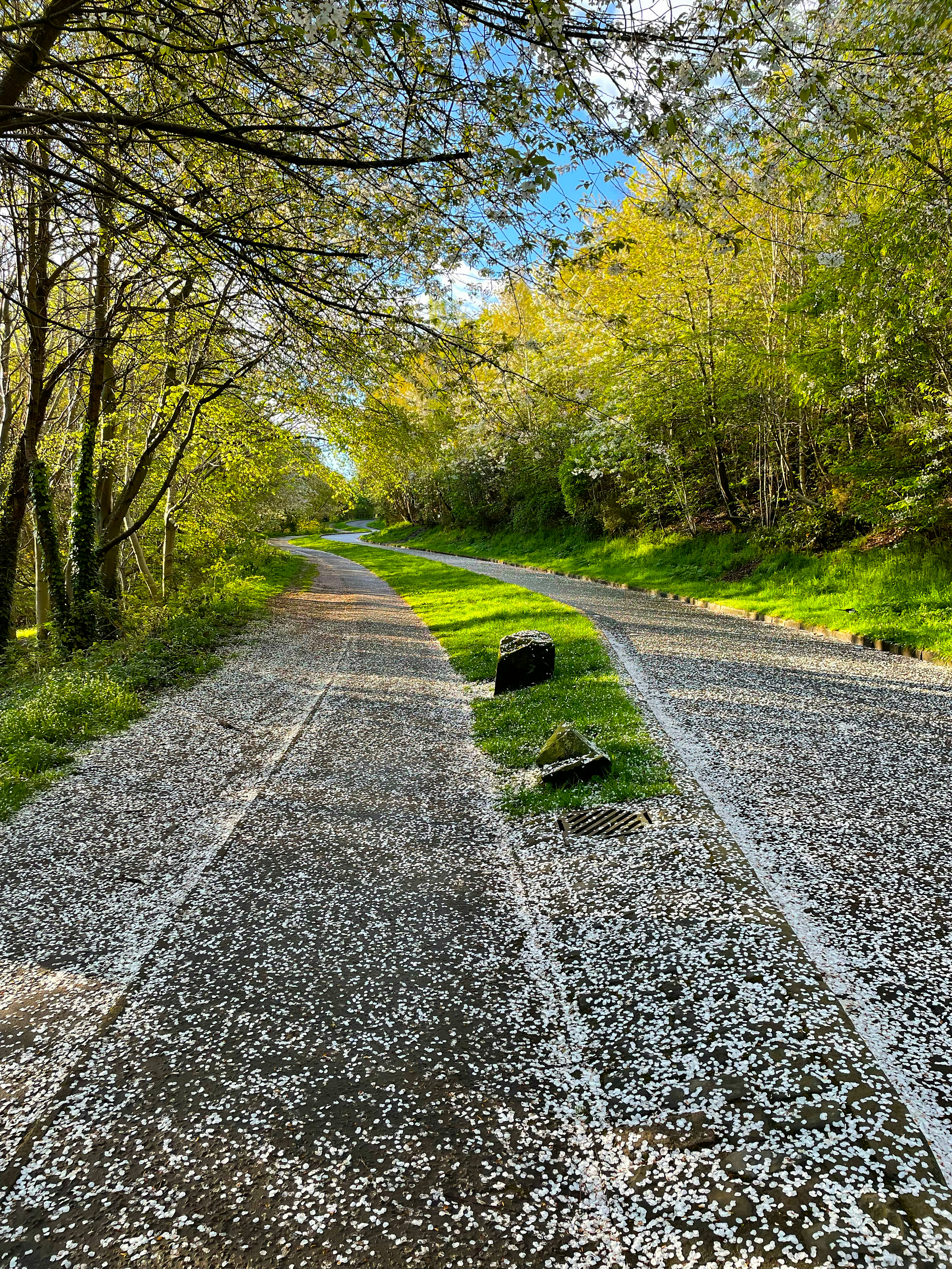 Photo by digitalgeek_01