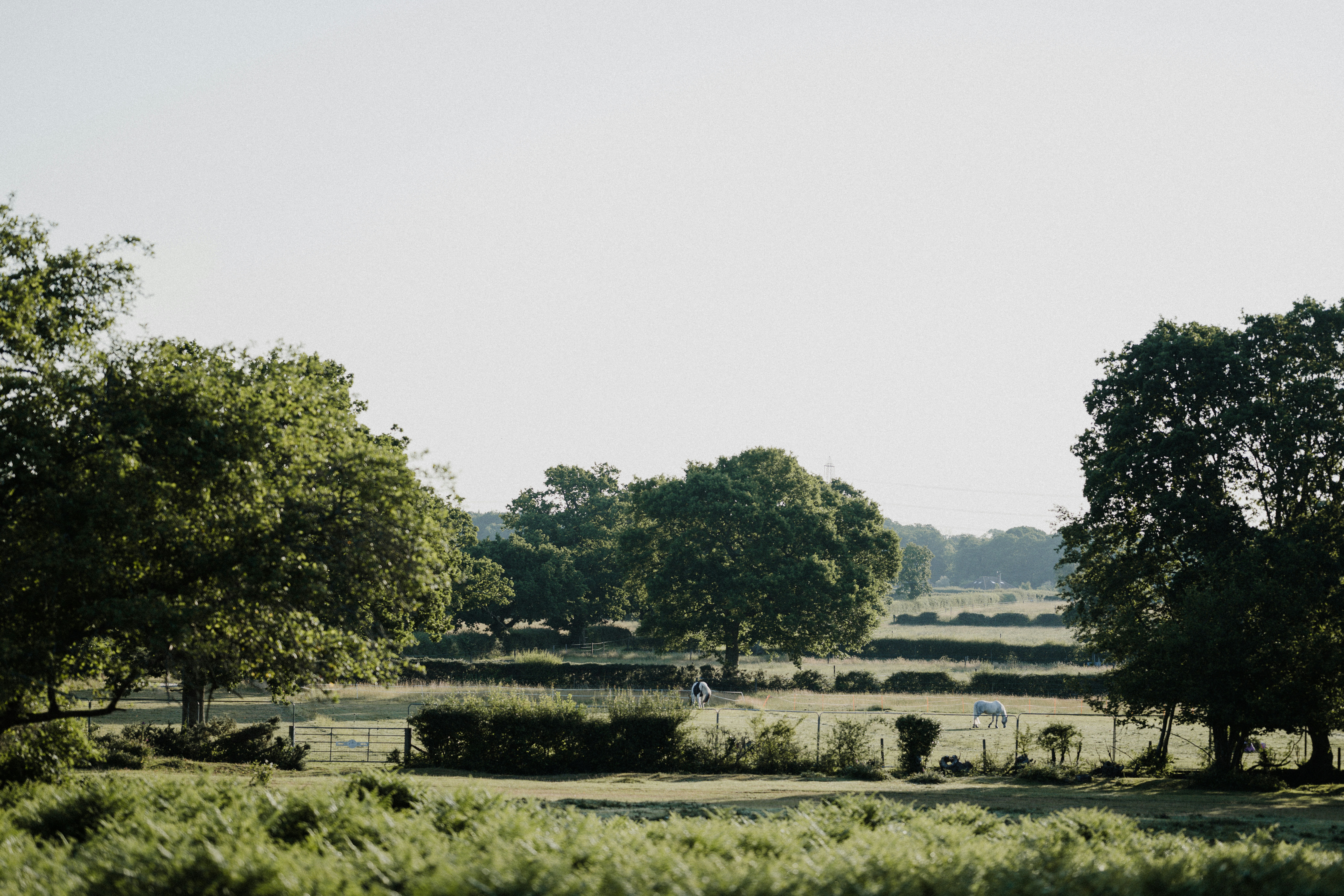 Photo by anniespratt