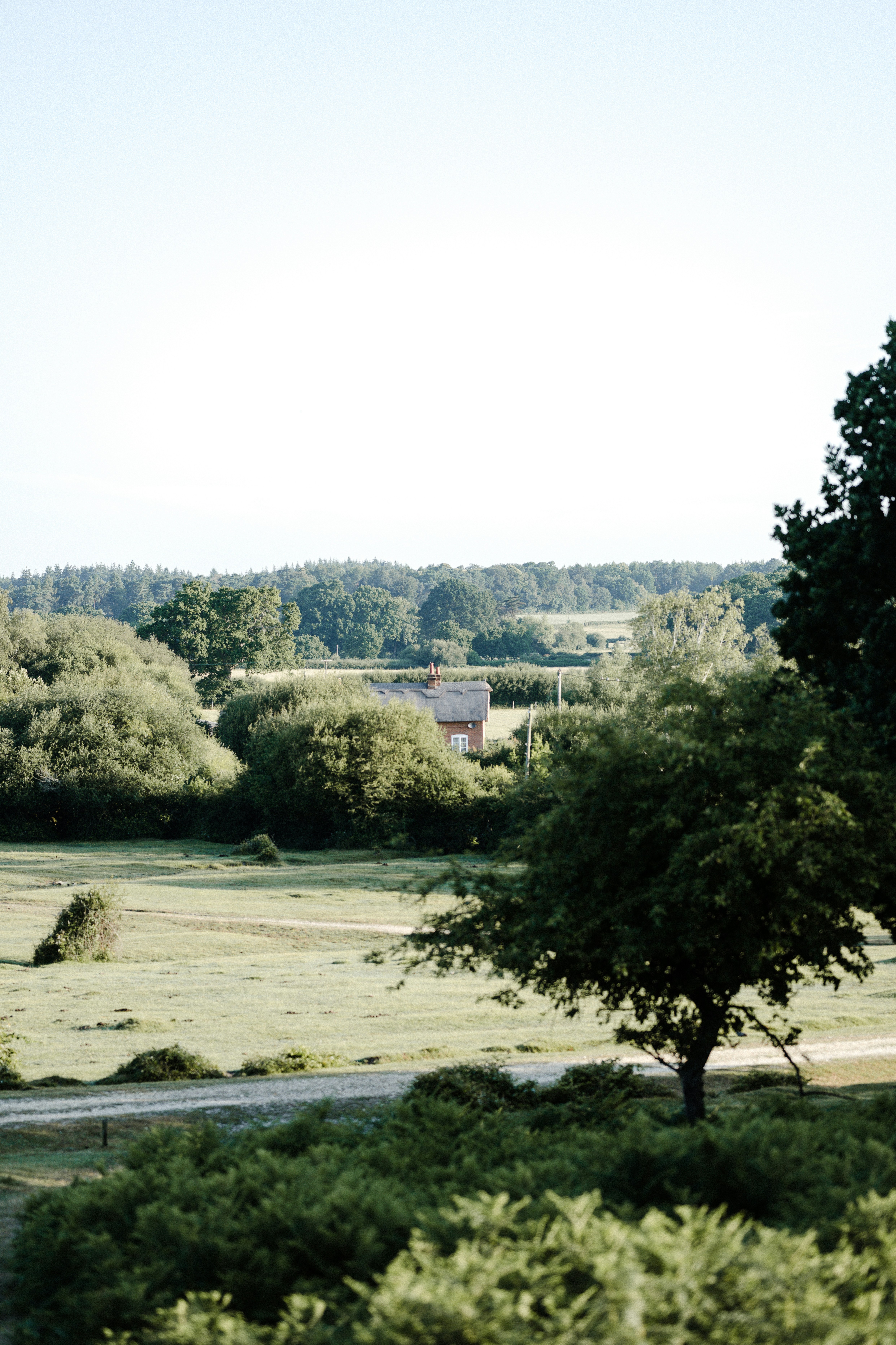 Photo by anniespratt