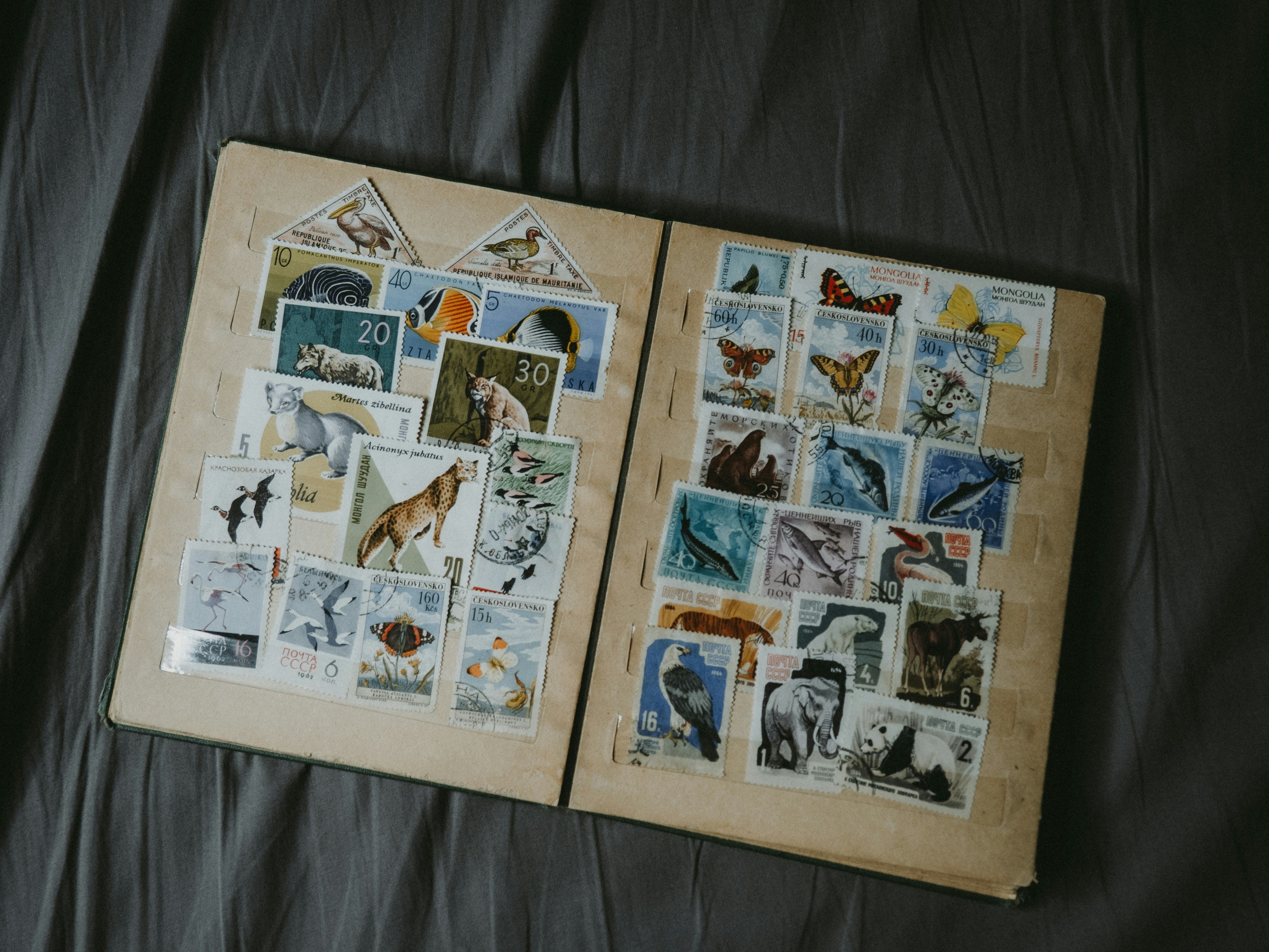 two pages of a book with pictures of animals