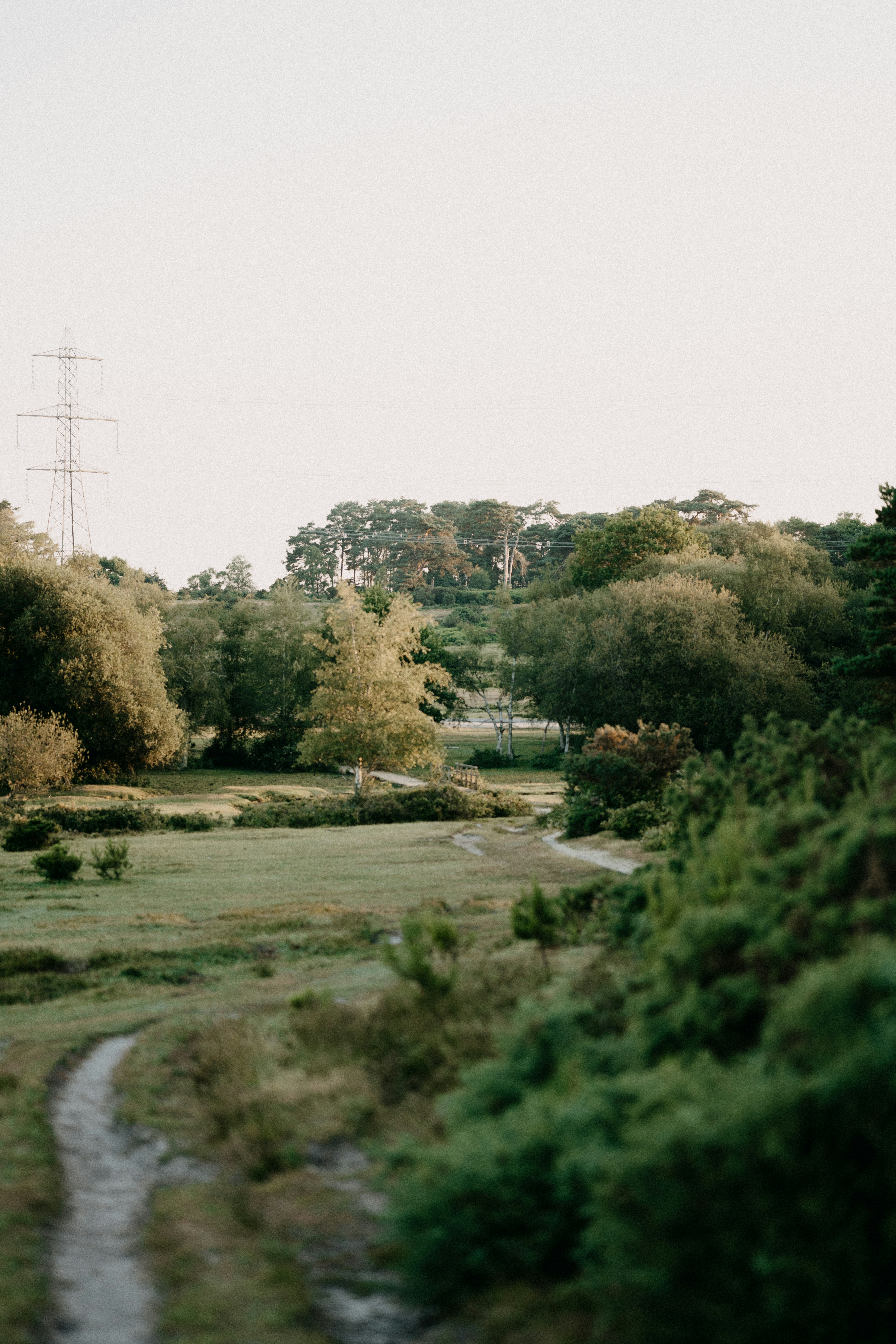 Photo by Annie Spratt on unsplash
