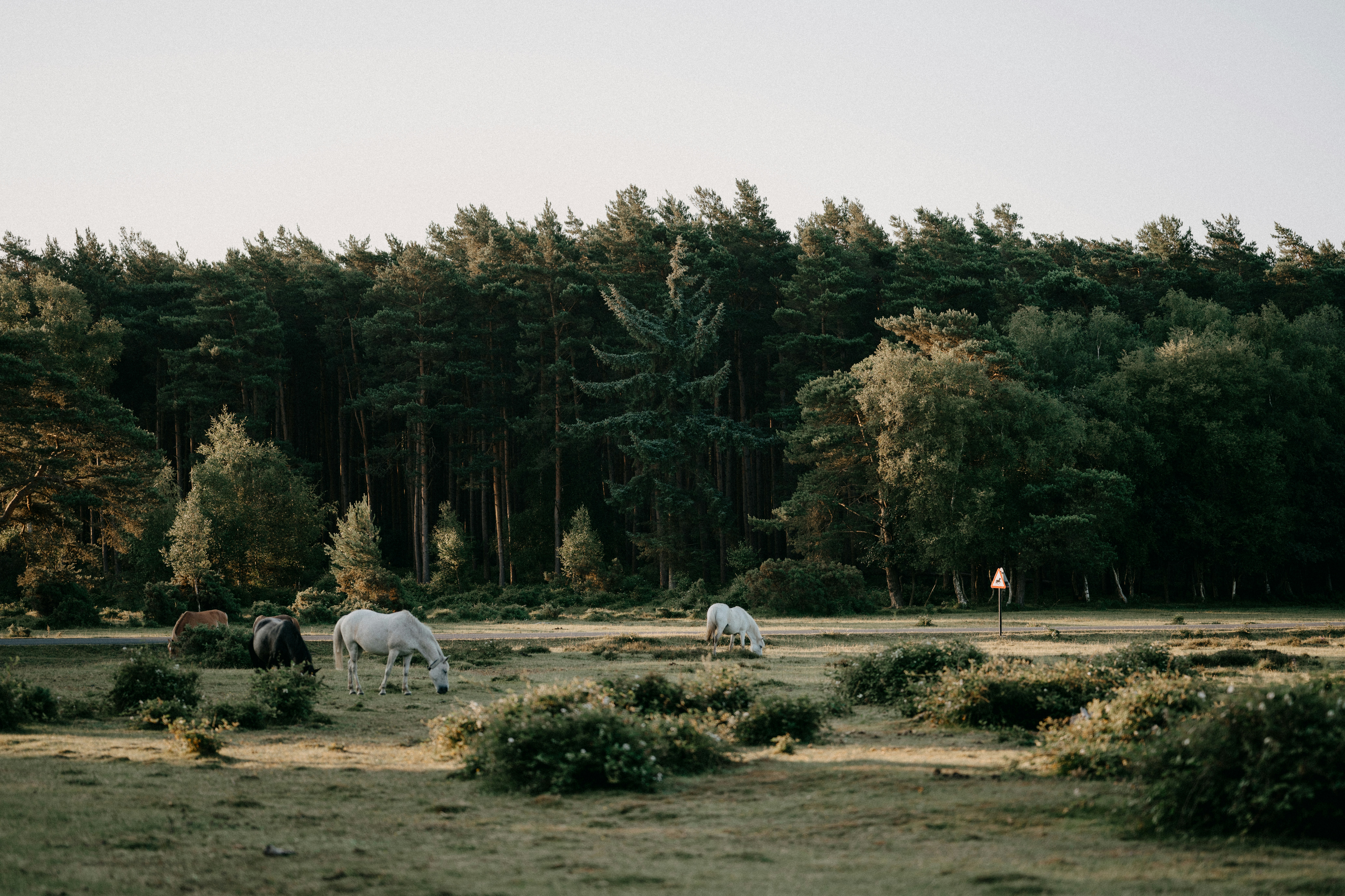 Photo by anniespratt