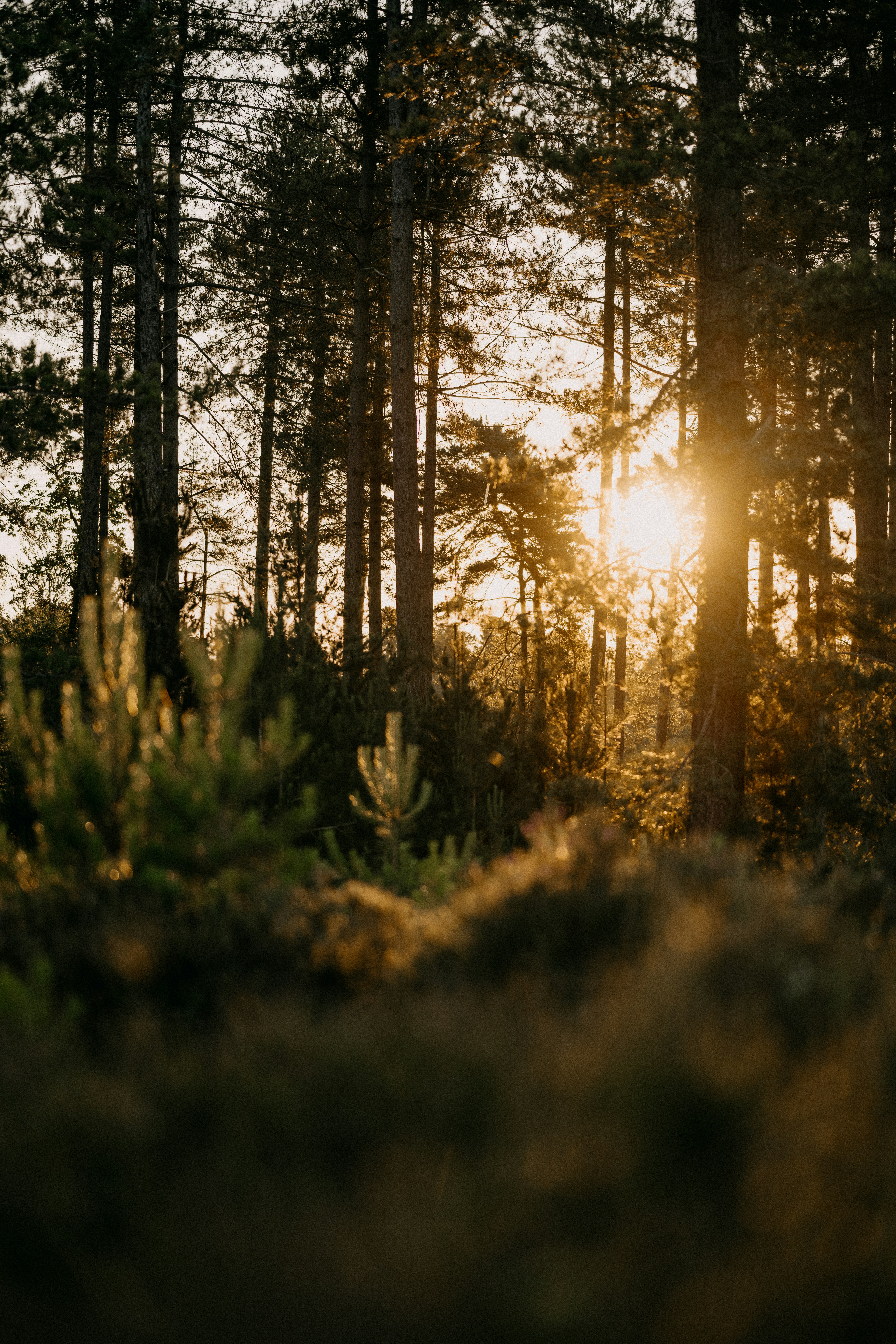 Photo by anniespratt