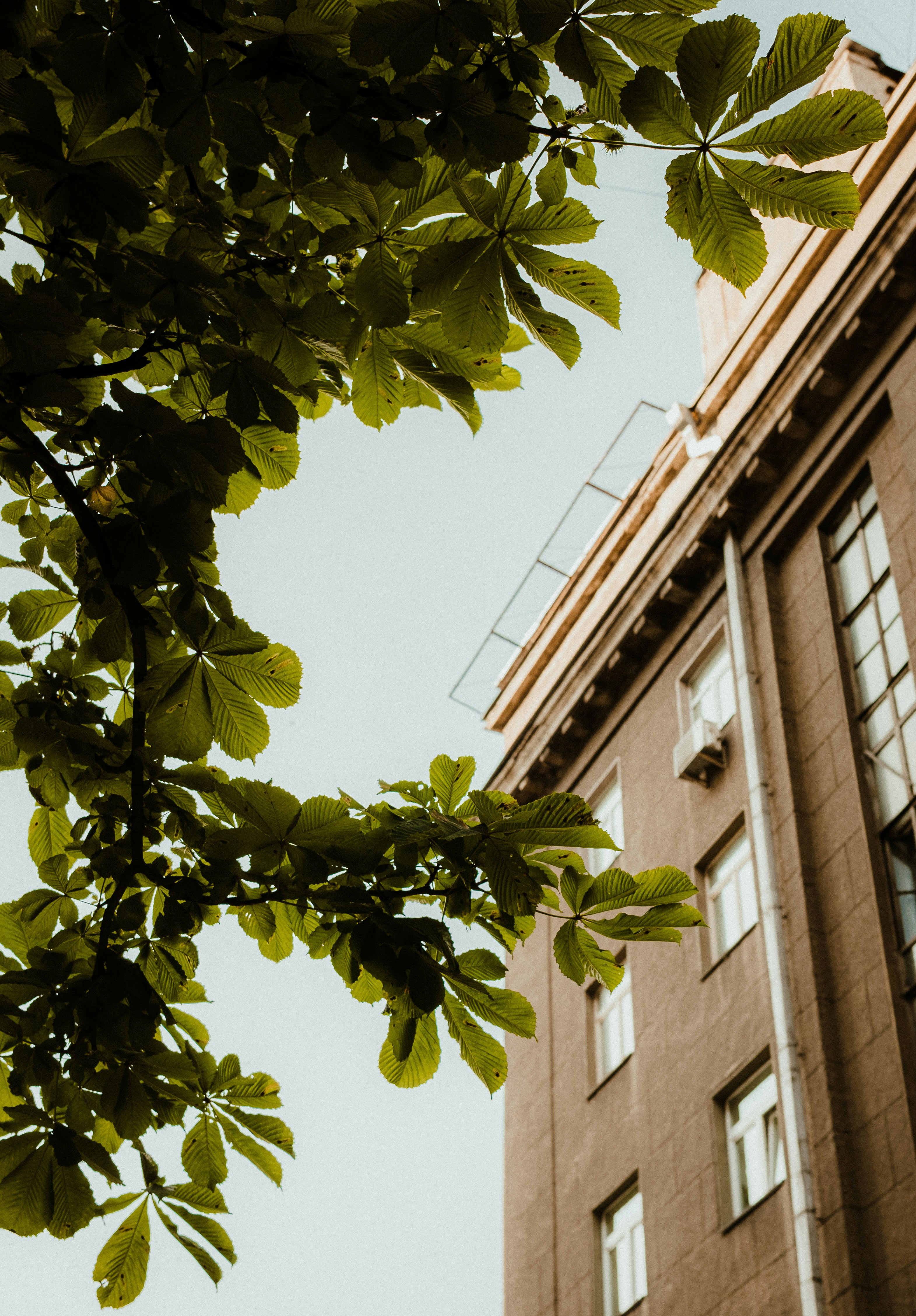 Photo by maksym_tymchyk