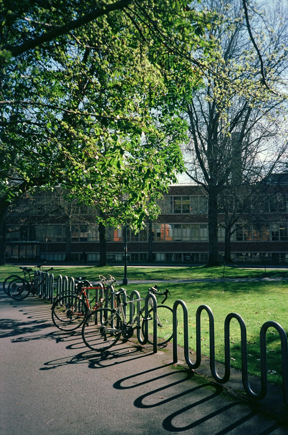 a row of bicycles parked next to each other in a park