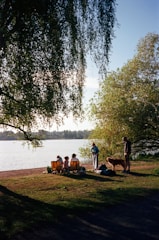 A group of people is gathered near a lakeside, sitting on portable chairs on a grassy area. A couple of people are standing near a dog. The scene is set under large overhanging tree branches, with a view of the water and distant trees in the background.