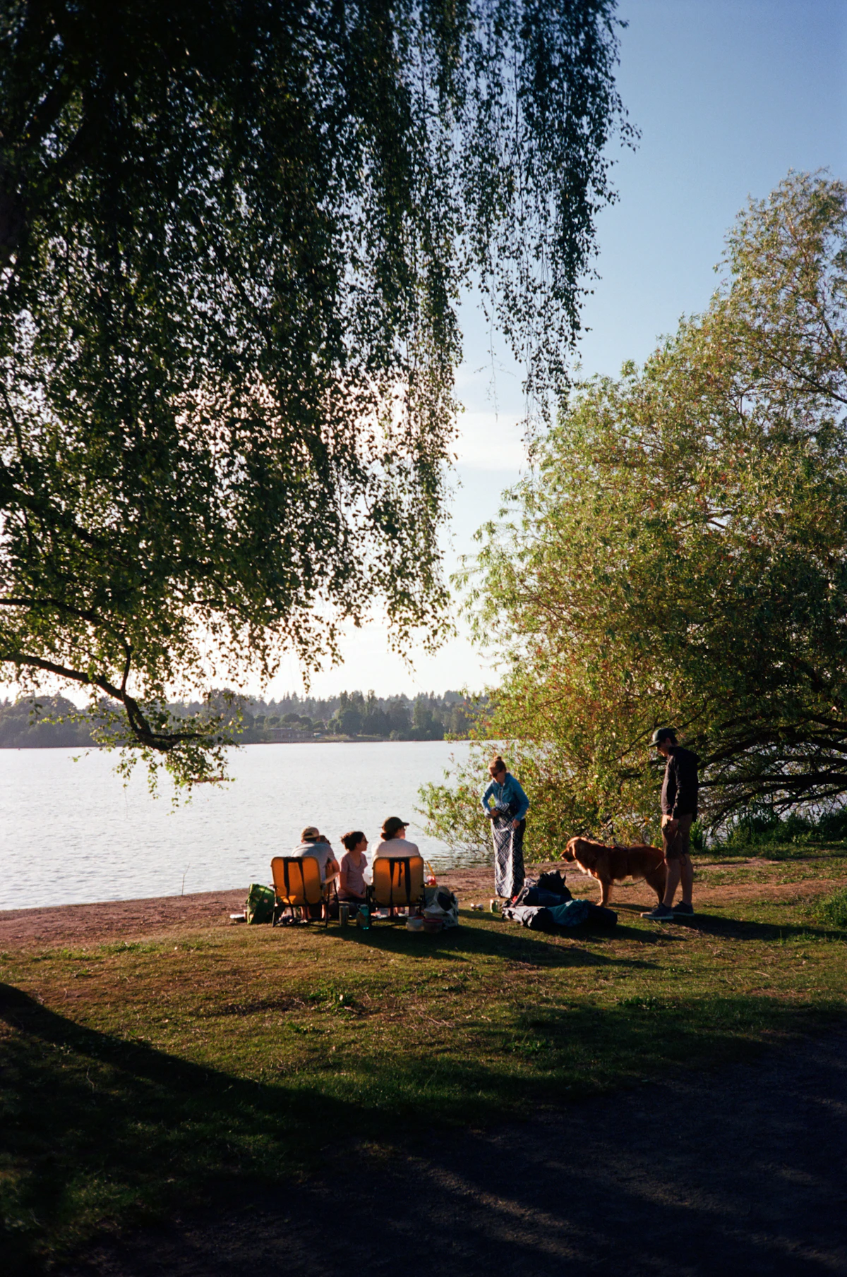 Family sitting under a tree beside a park lake