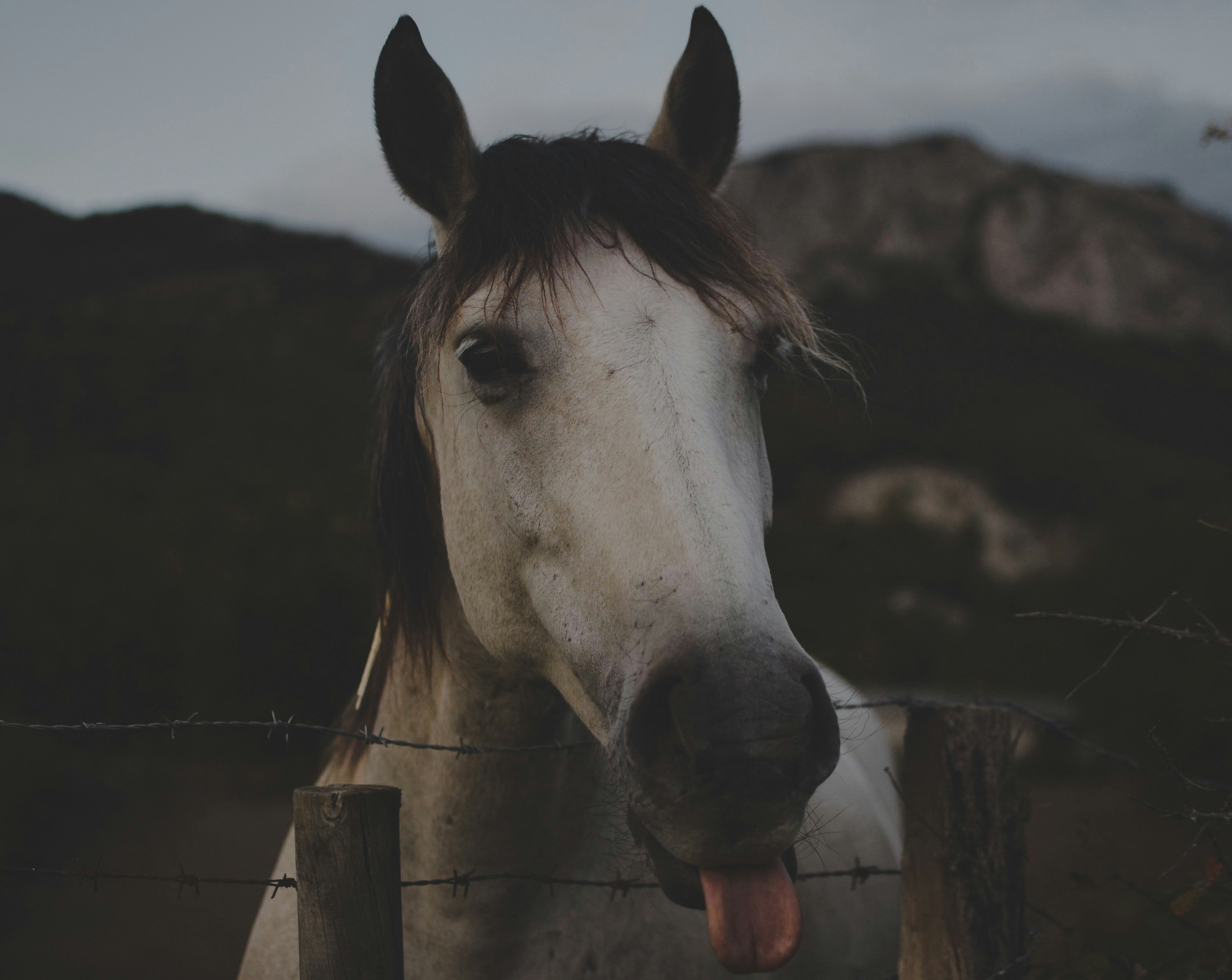 Subtle Signals (image credits: unsplash)