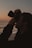 A person is holding a camera up to their eye, capturing a photo against the backdrop of a sunset over the ocean. The silhouette of the photographer is visible, adding a dramatic effect to the scene.