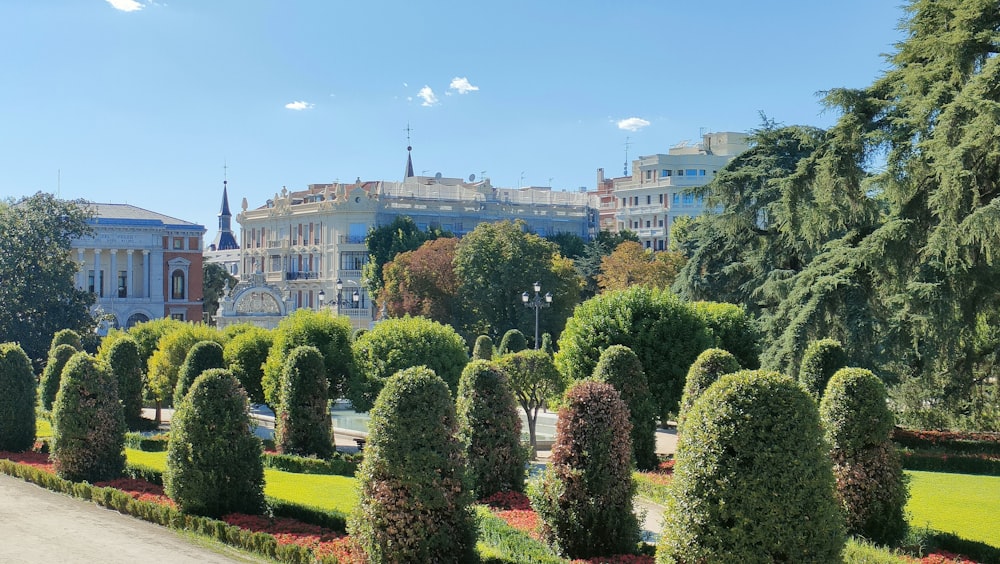 a view of a park with trees and buildings in the background