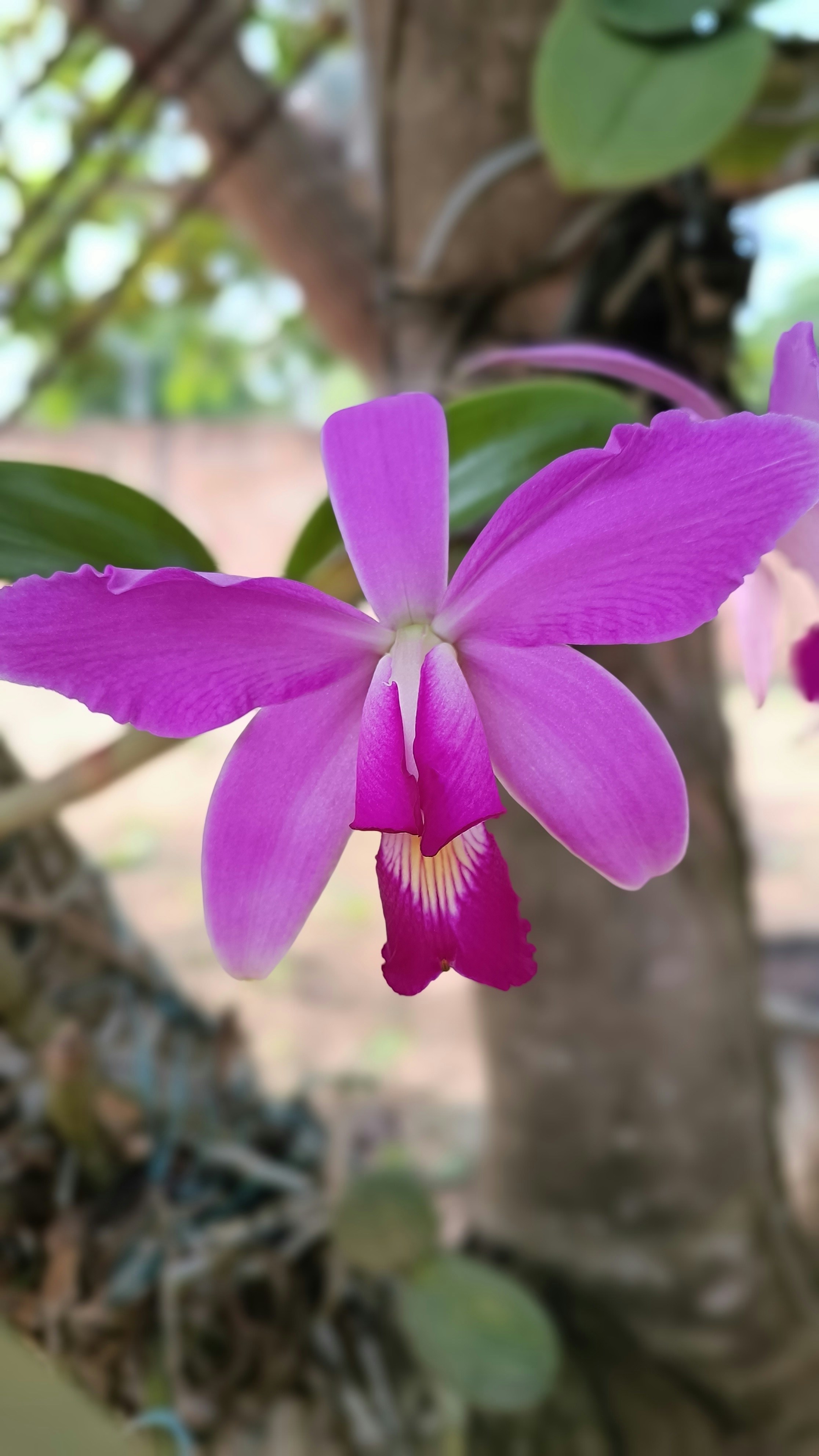 Photo by dienyportinanni