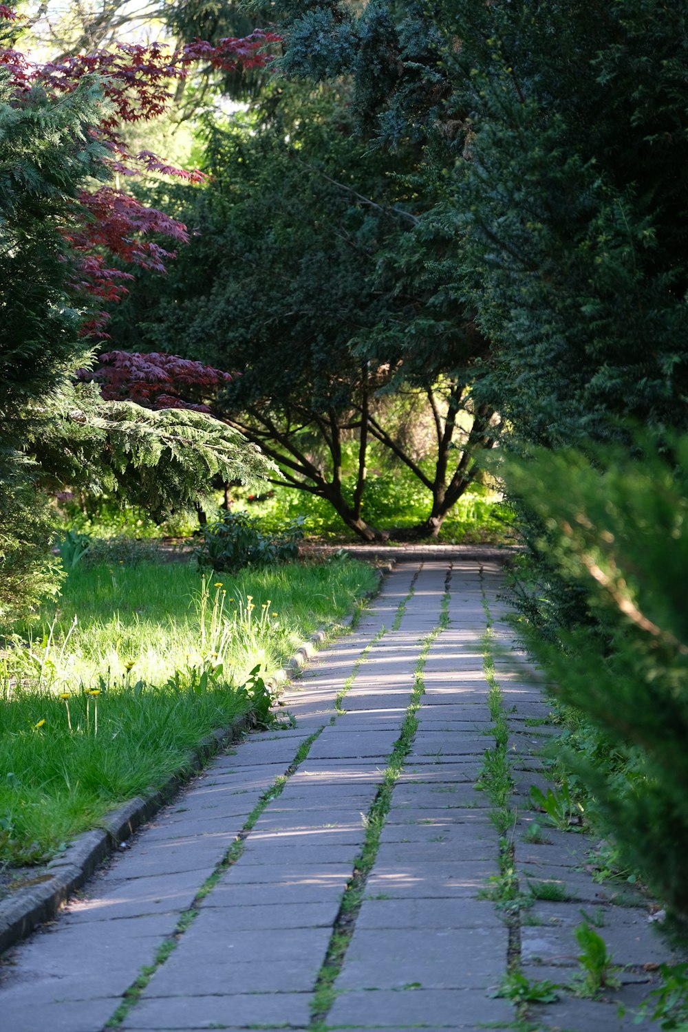 a stone path in the middle of a park