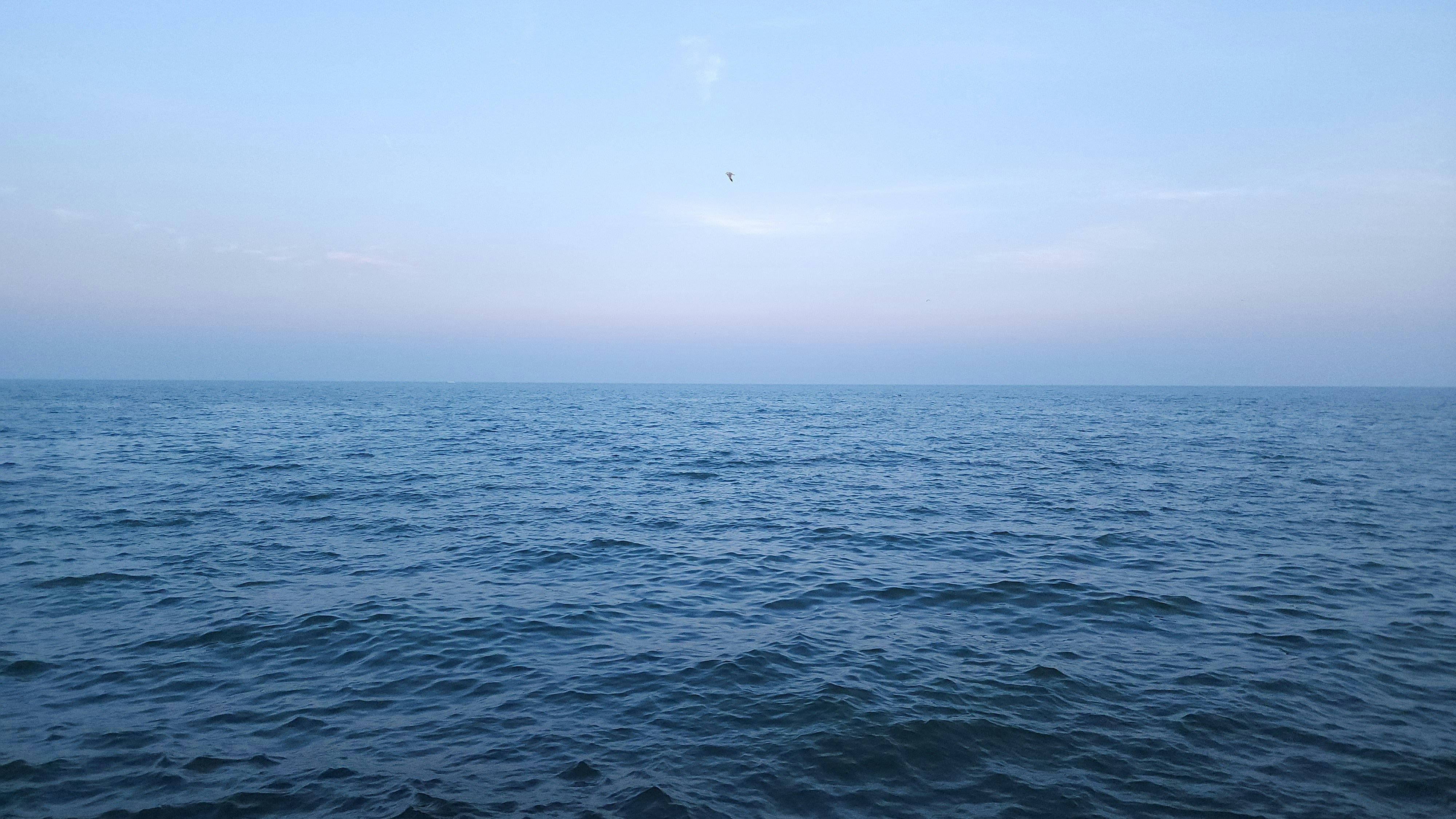 Photo by positive_potato