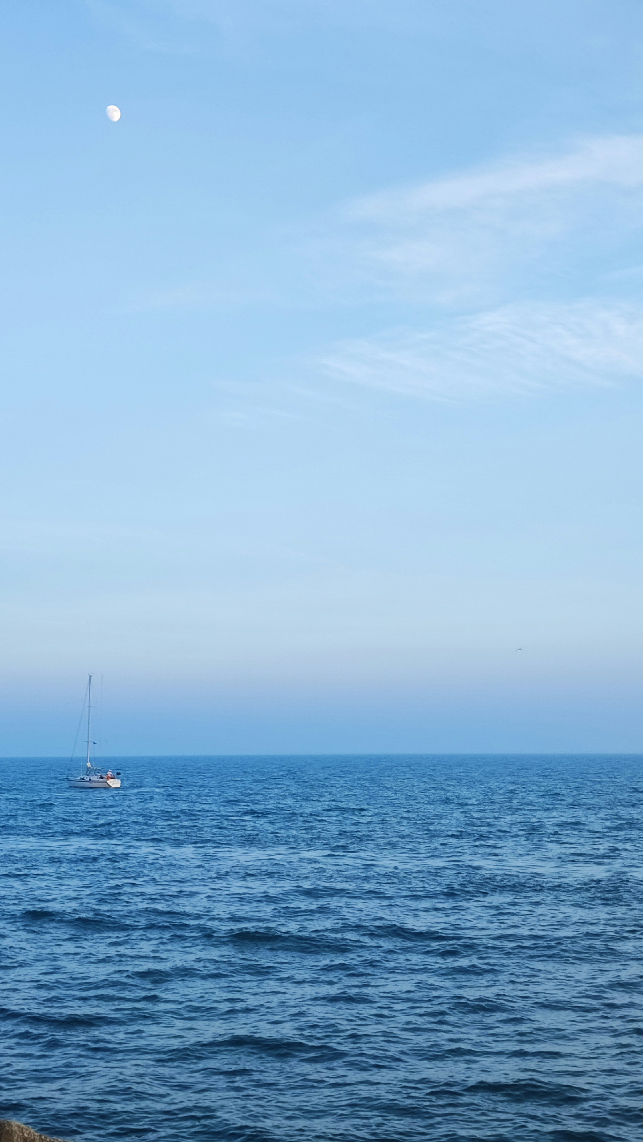 Photo by positive_potato