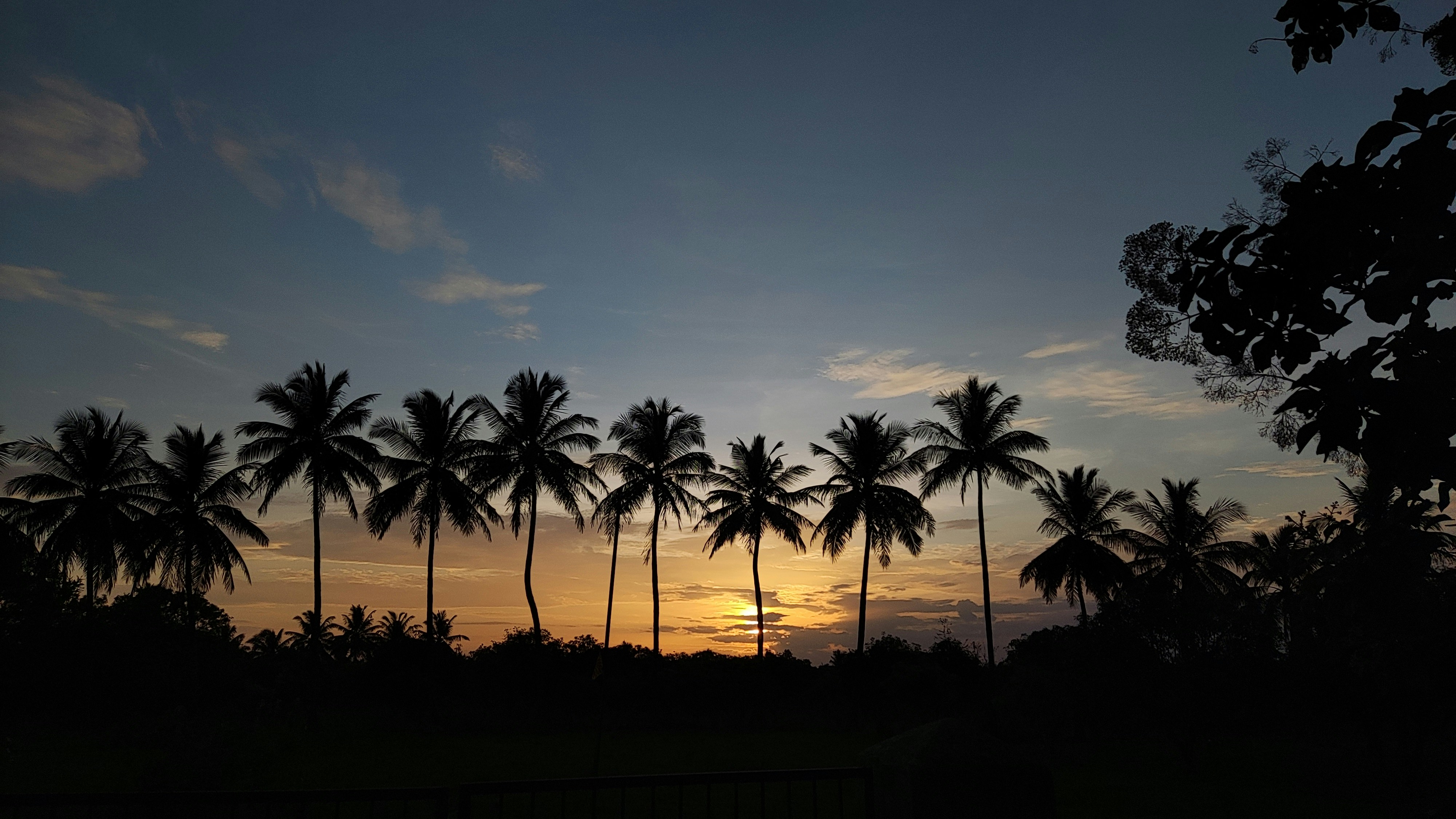 Photo by opacaro_phile