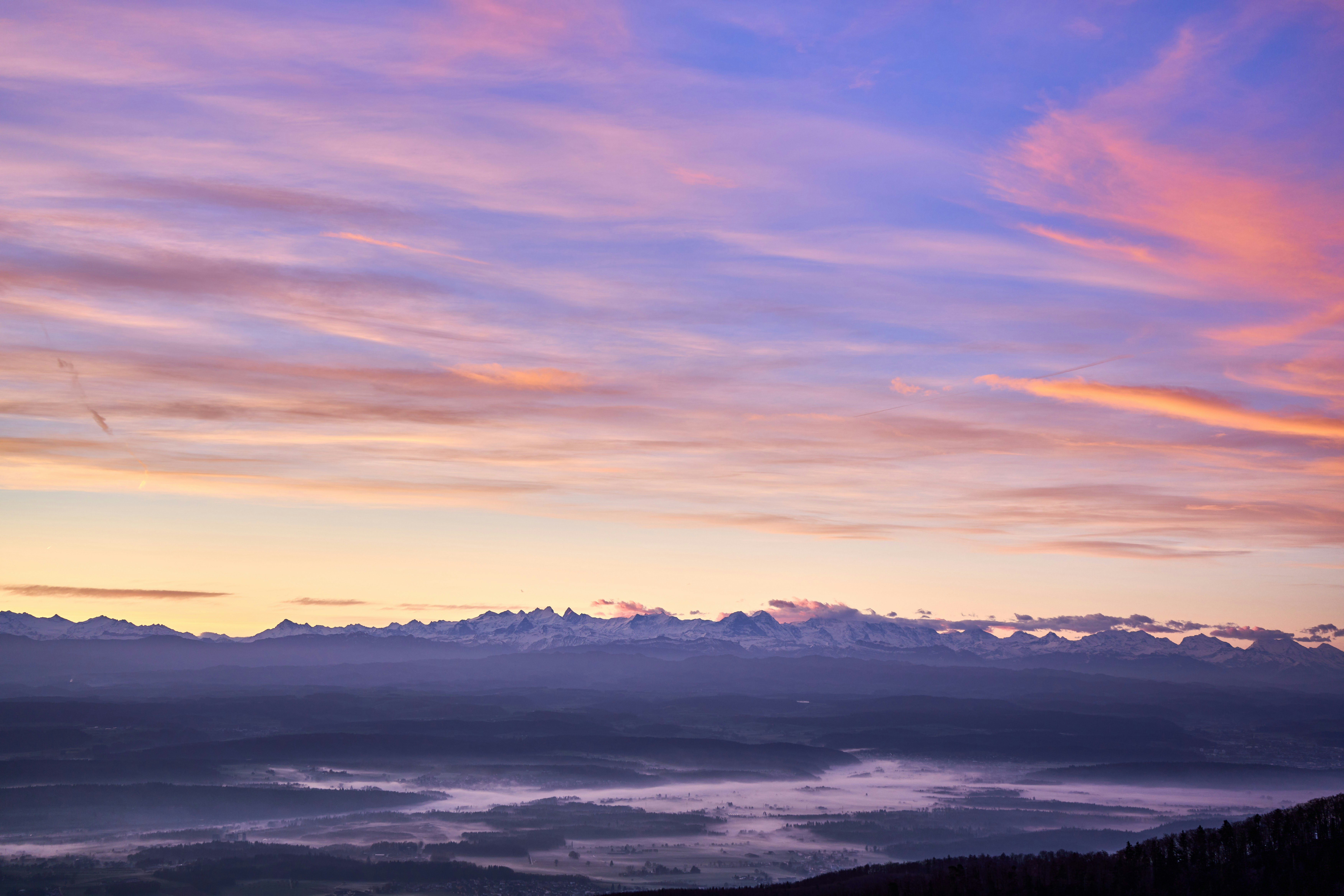 Photo by wolfgang_hasselmann