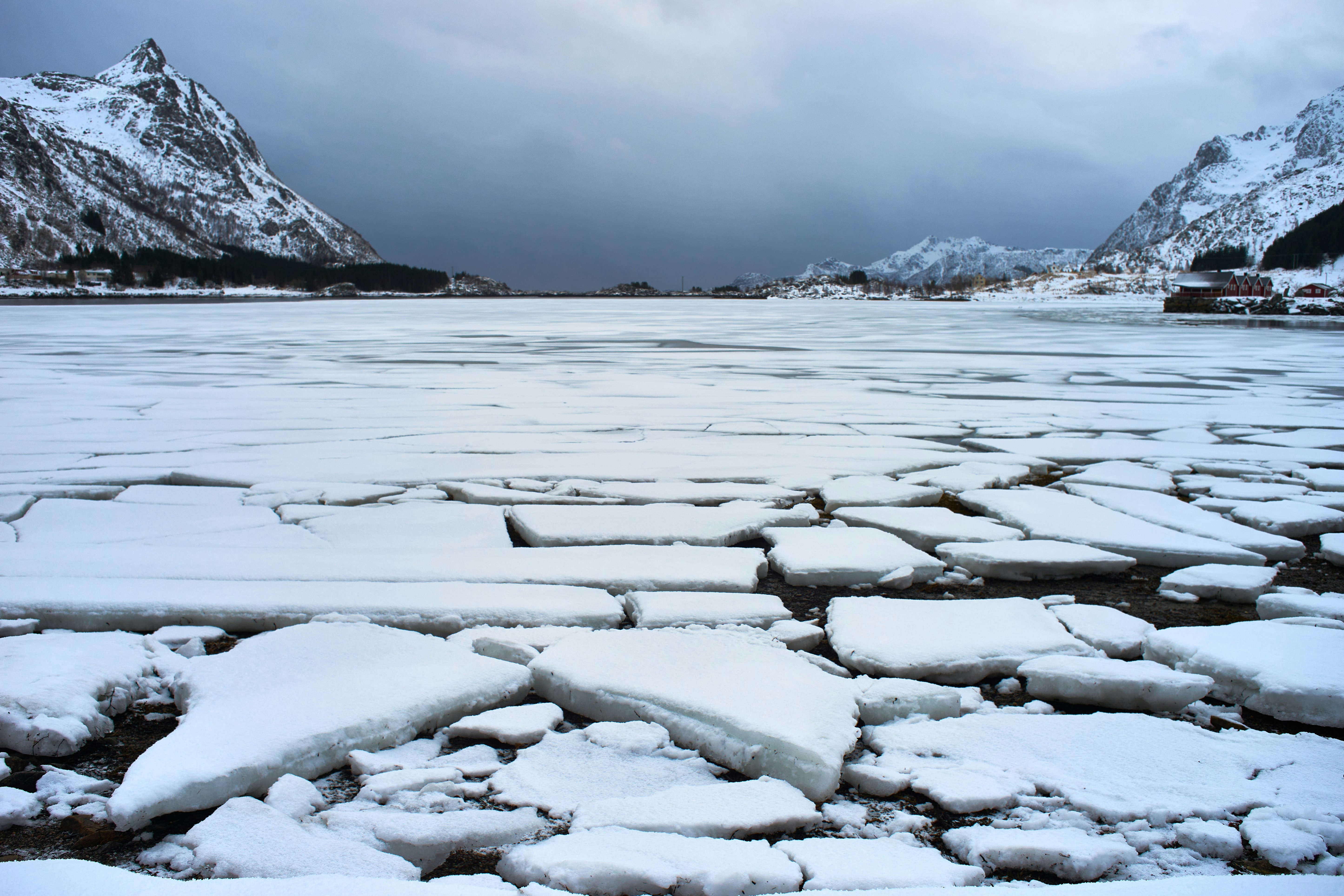 Photo by wolfgang_hasselmann