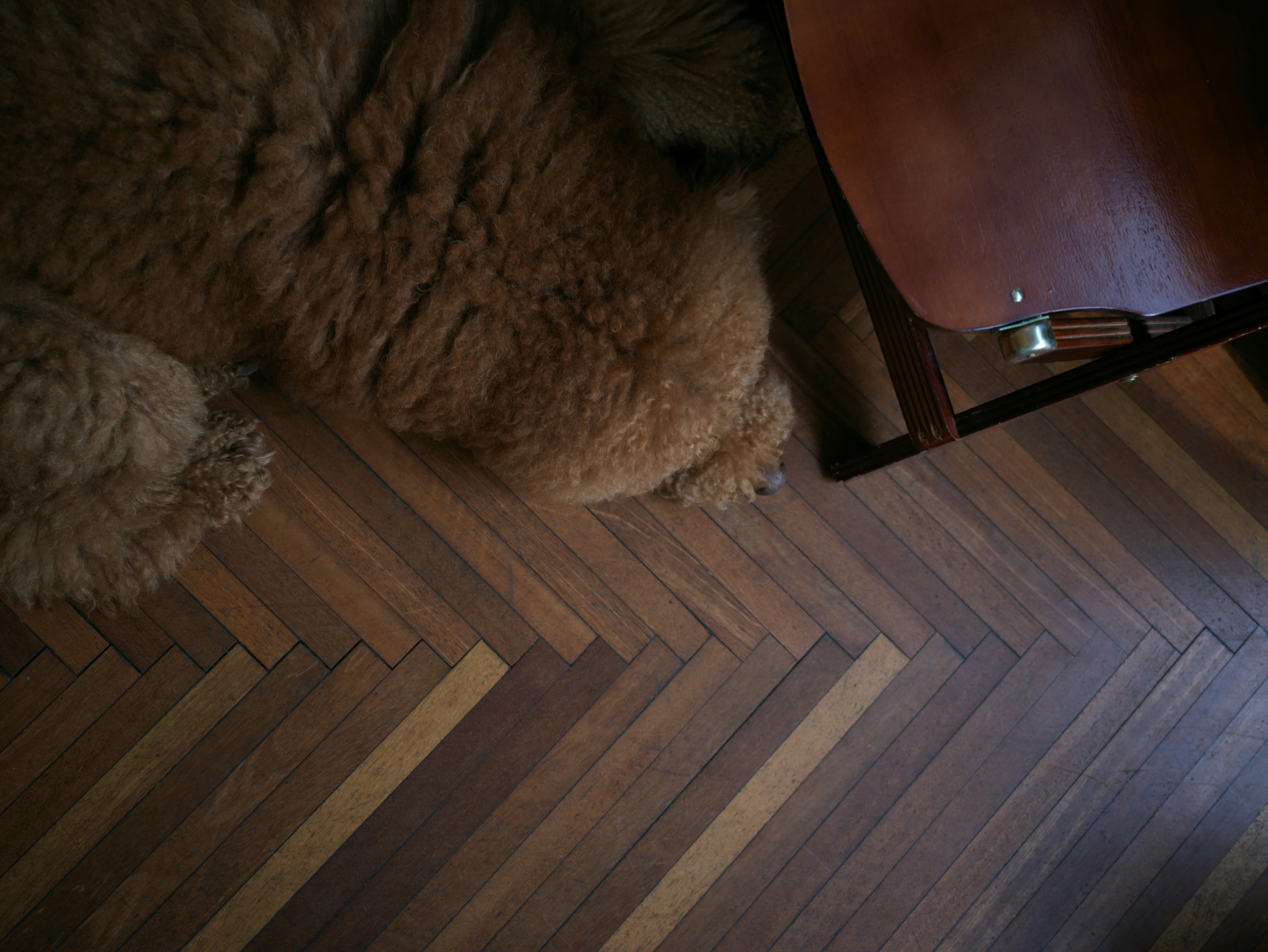 Renovierung: laminat vs parkett