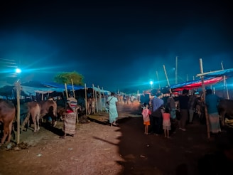 A nighttime market scene with people gathered around cattle. Wooden poles with tarps cover the stalls, illuminated by bright artificial lights against the dark sky. The ground is dirt, and children and adults are interacting with the cattle.