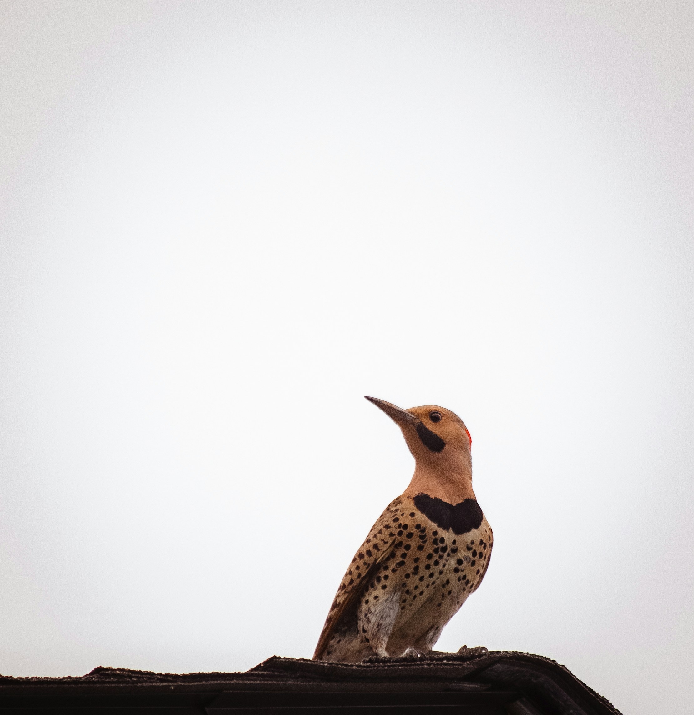 Photo by sinabahar76