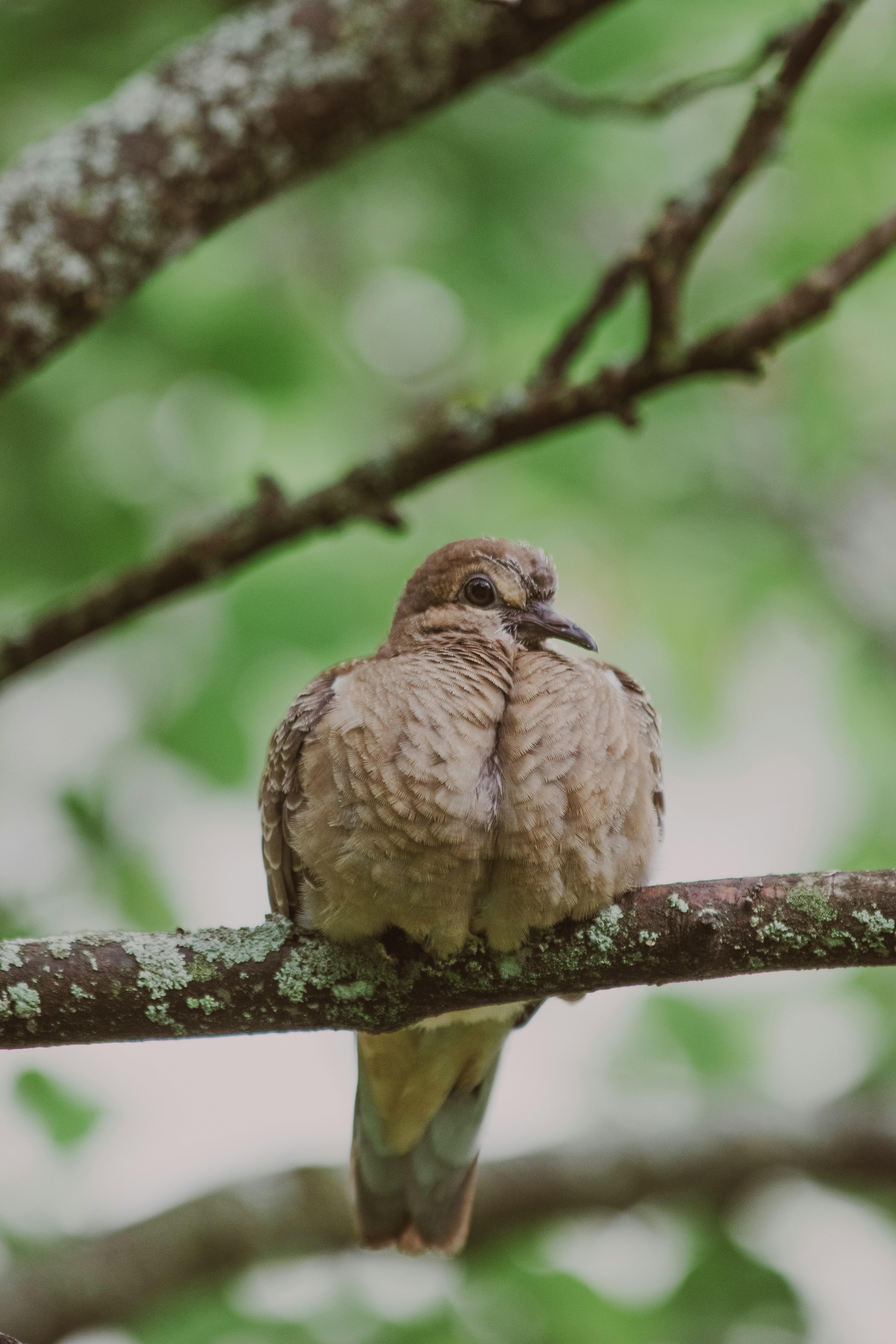 Photo by sinabahar76