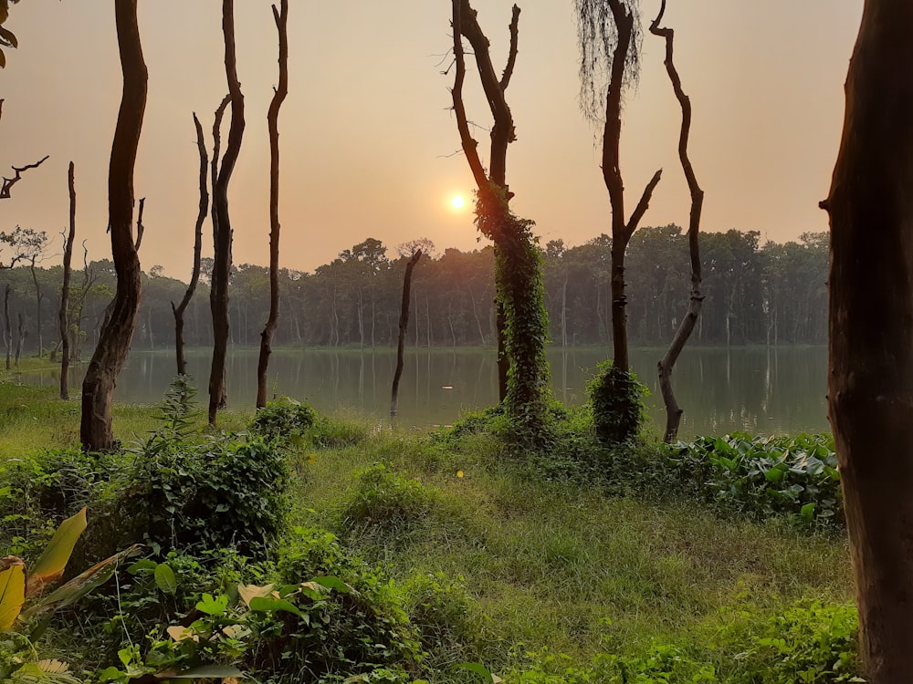 the sun is setting in the distance behind some trees