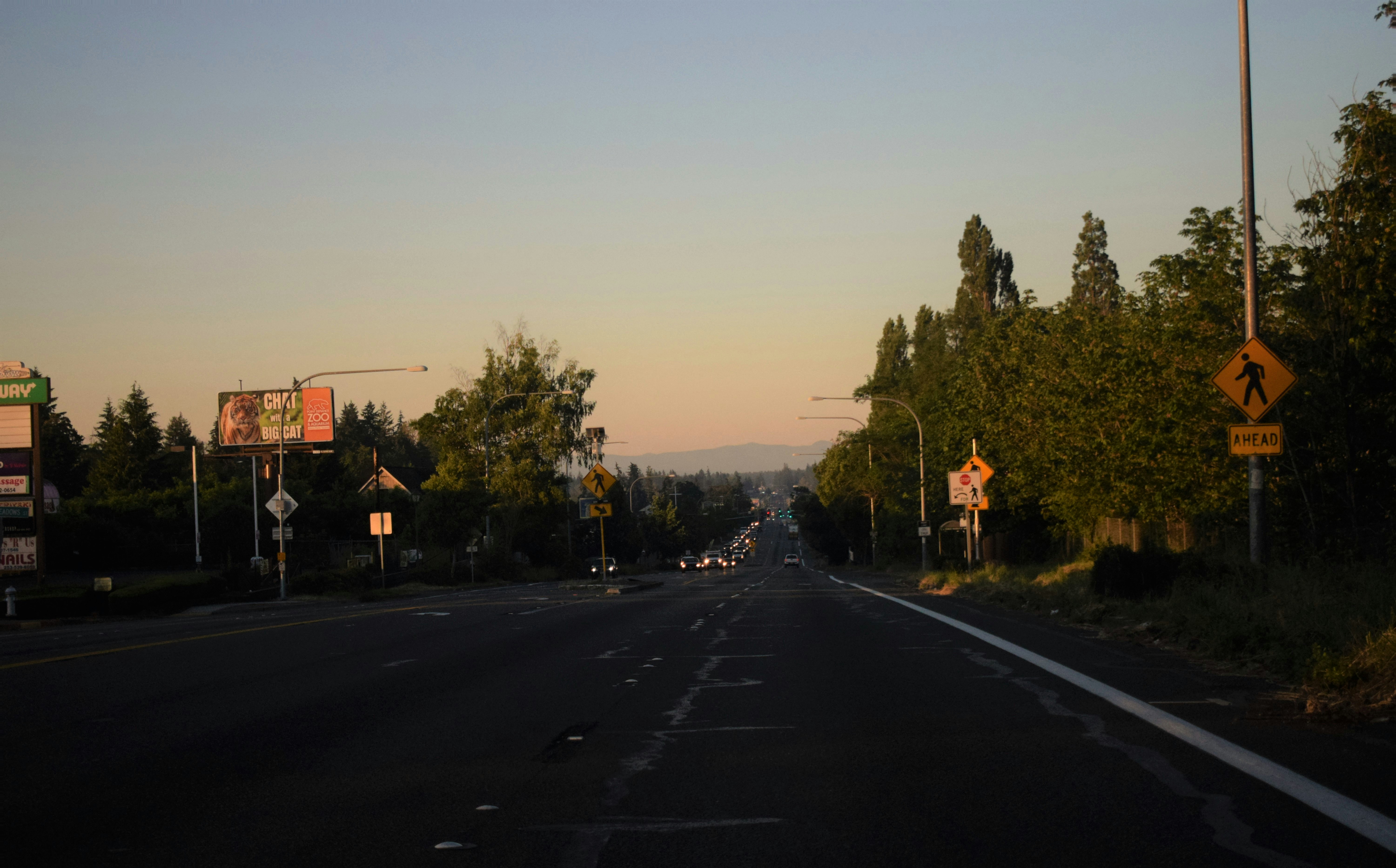 Mountain Highway near the intersection of Parkland and Spanaway Neighborhoods at sunset with pedestrian crossing signs due to high pedestrian vehicle accidents in the area.