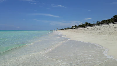 Sunlit beach with soft white sand and gentle waves lapping the shore on a clear day.