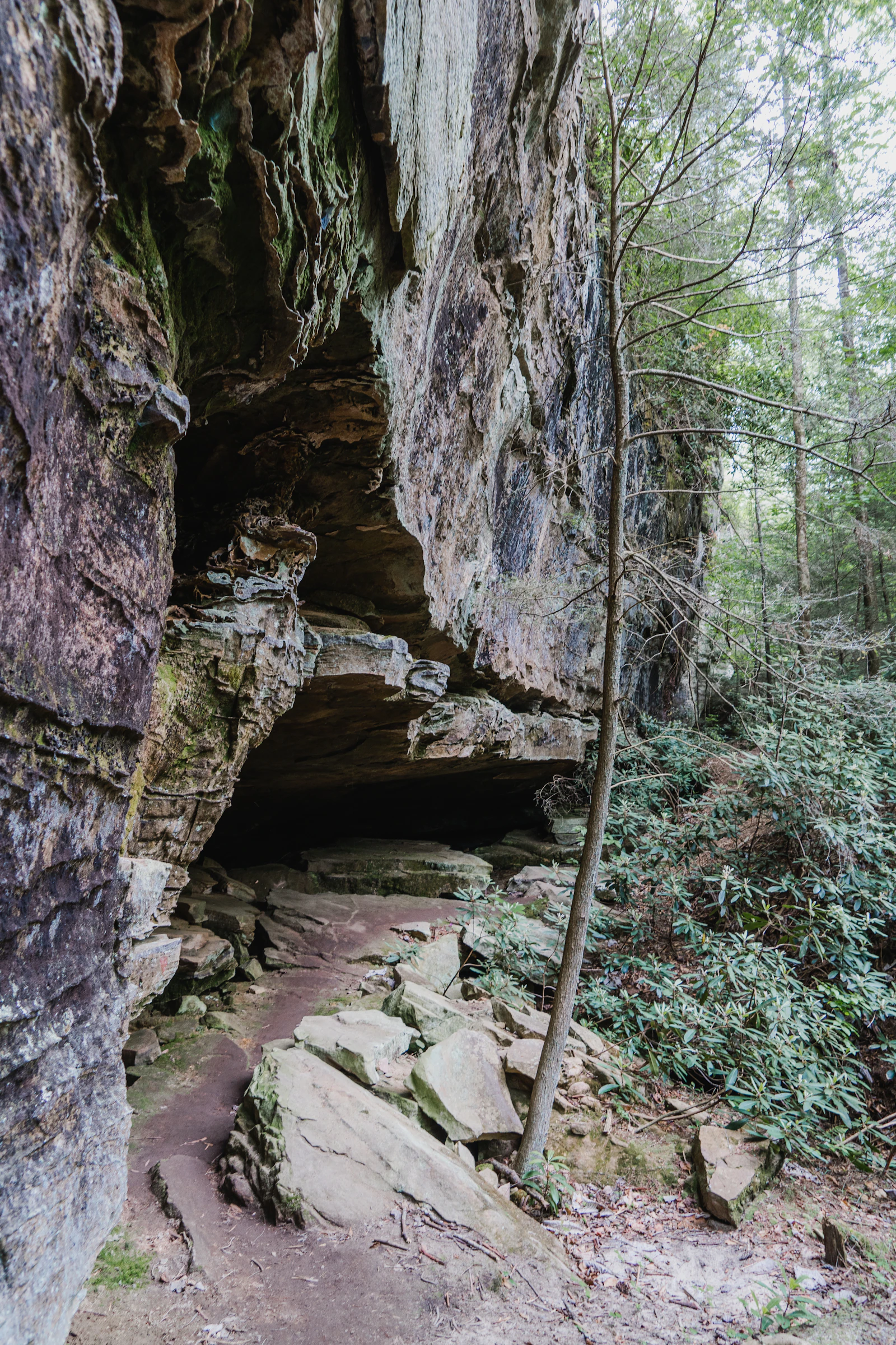 Rocky forest trail running beneath an overhanging limestone cliff with a shallow cave